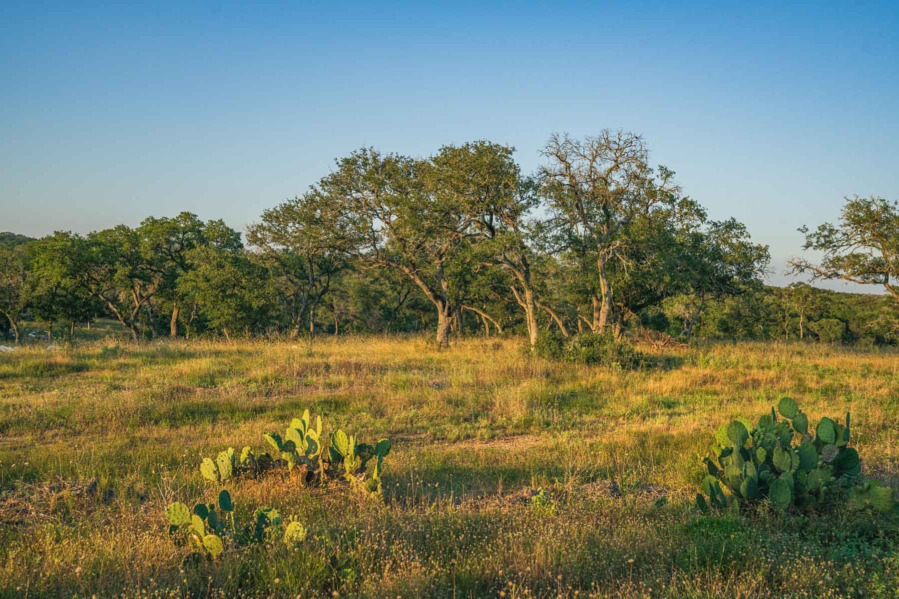 Circle S Estate property picture 16 of 79