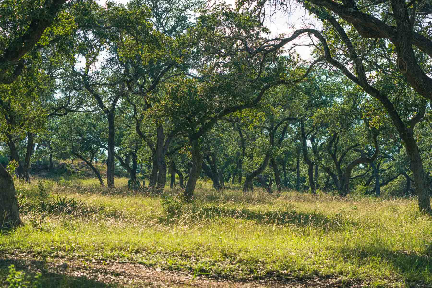 Circle S Estate property picture 32 of 79