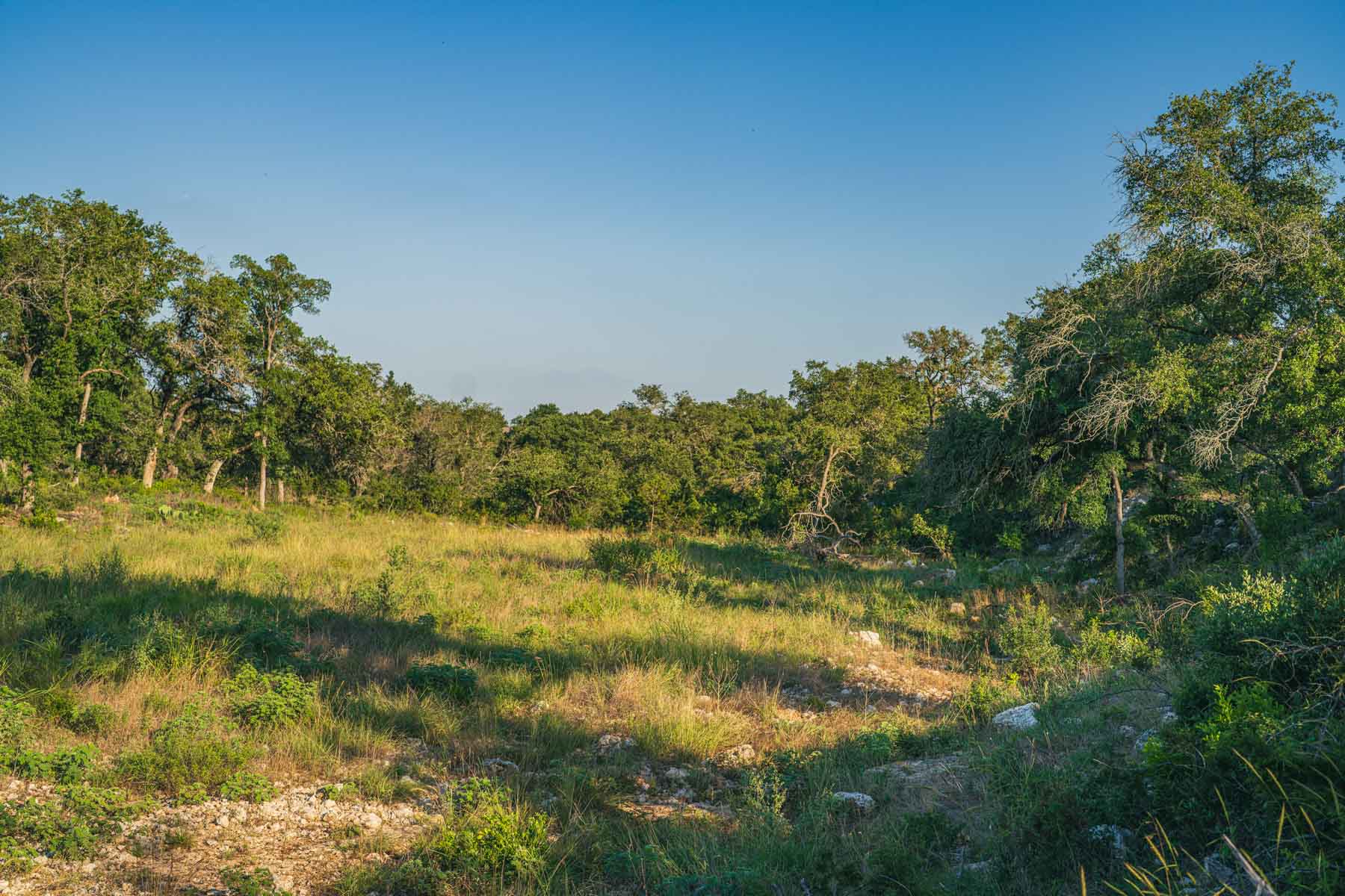 Circle S Estate property picture 42 of 79