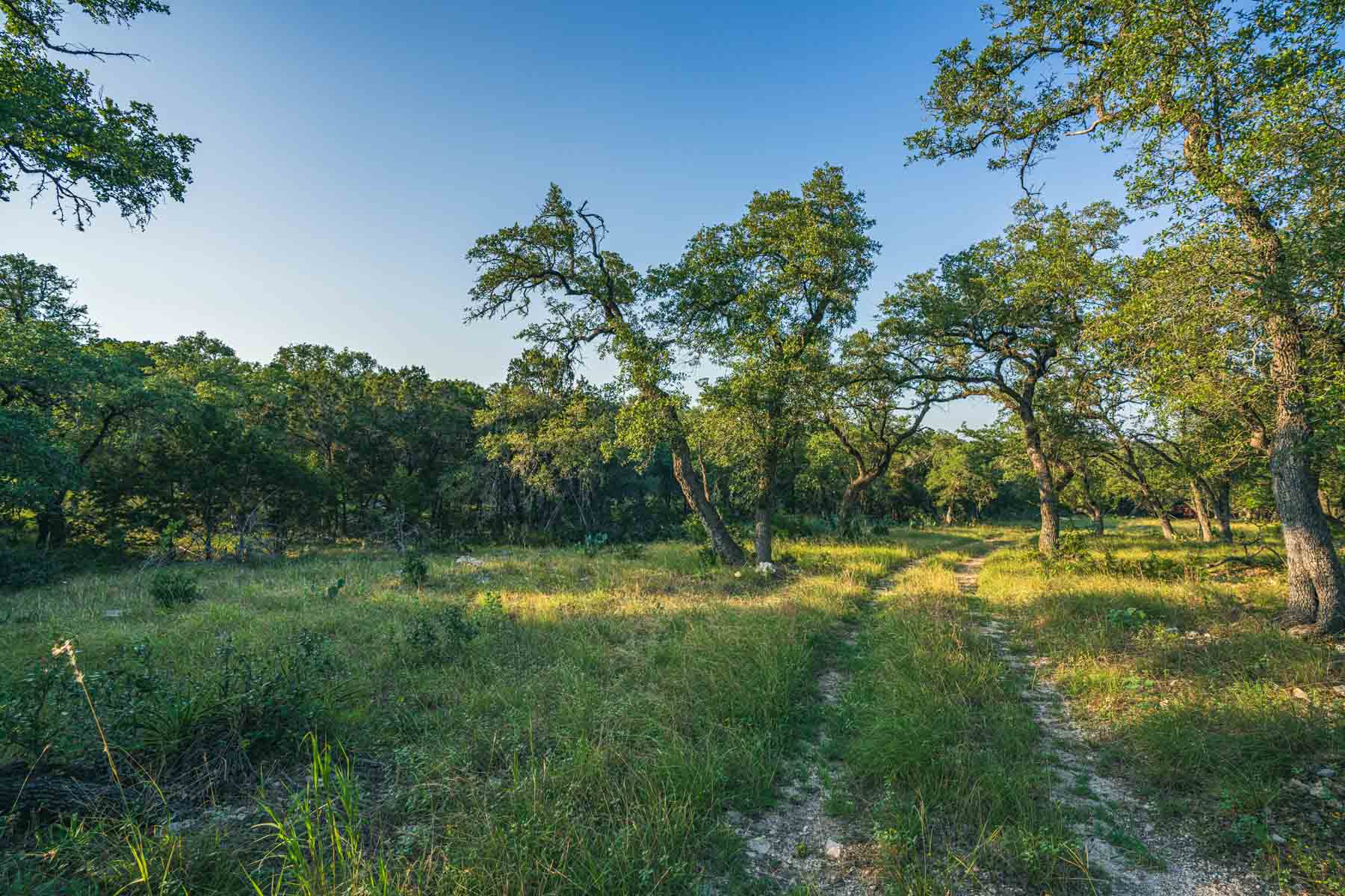 Circle S Estate property picture 13 of 79