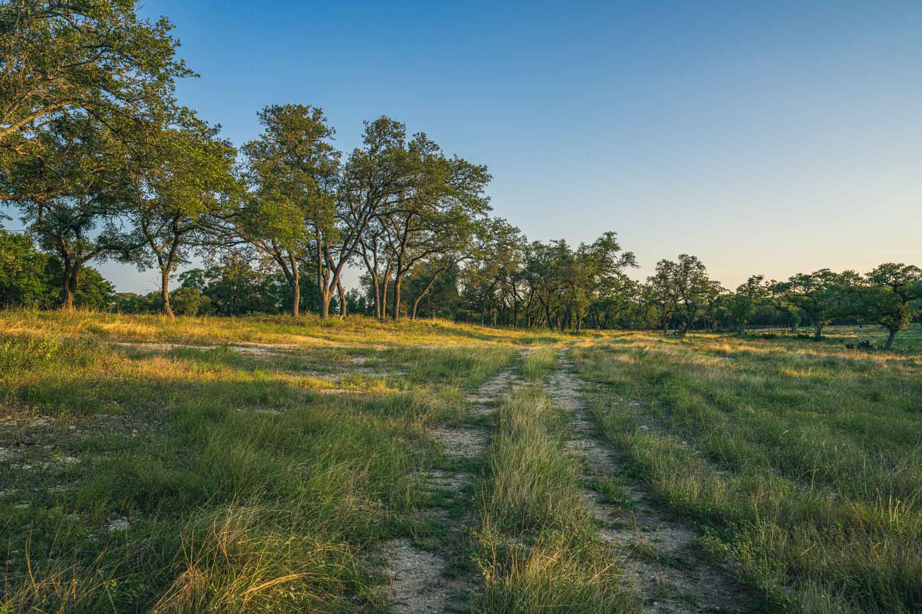 Circle S Estate property picture 17 of 79