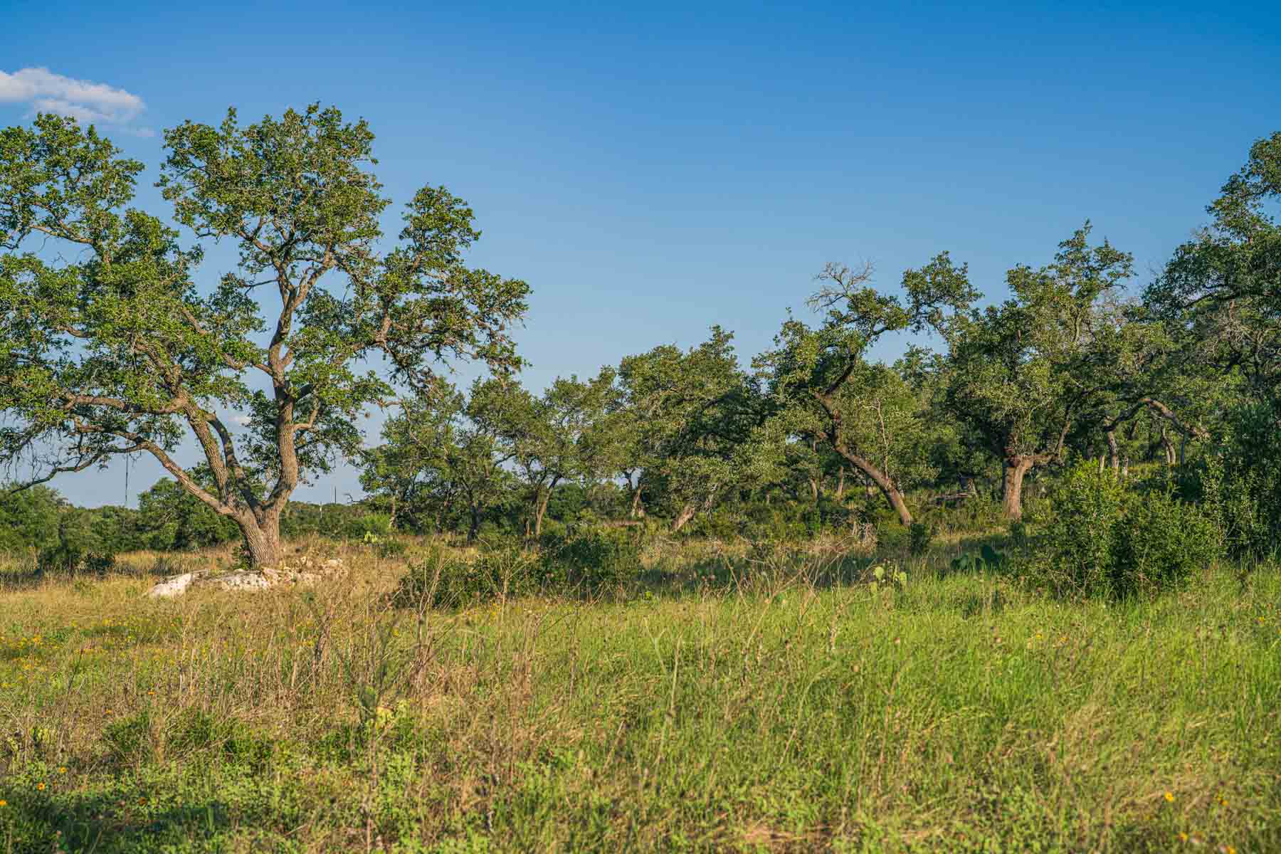 Circle S Estate property picture 39 of 79