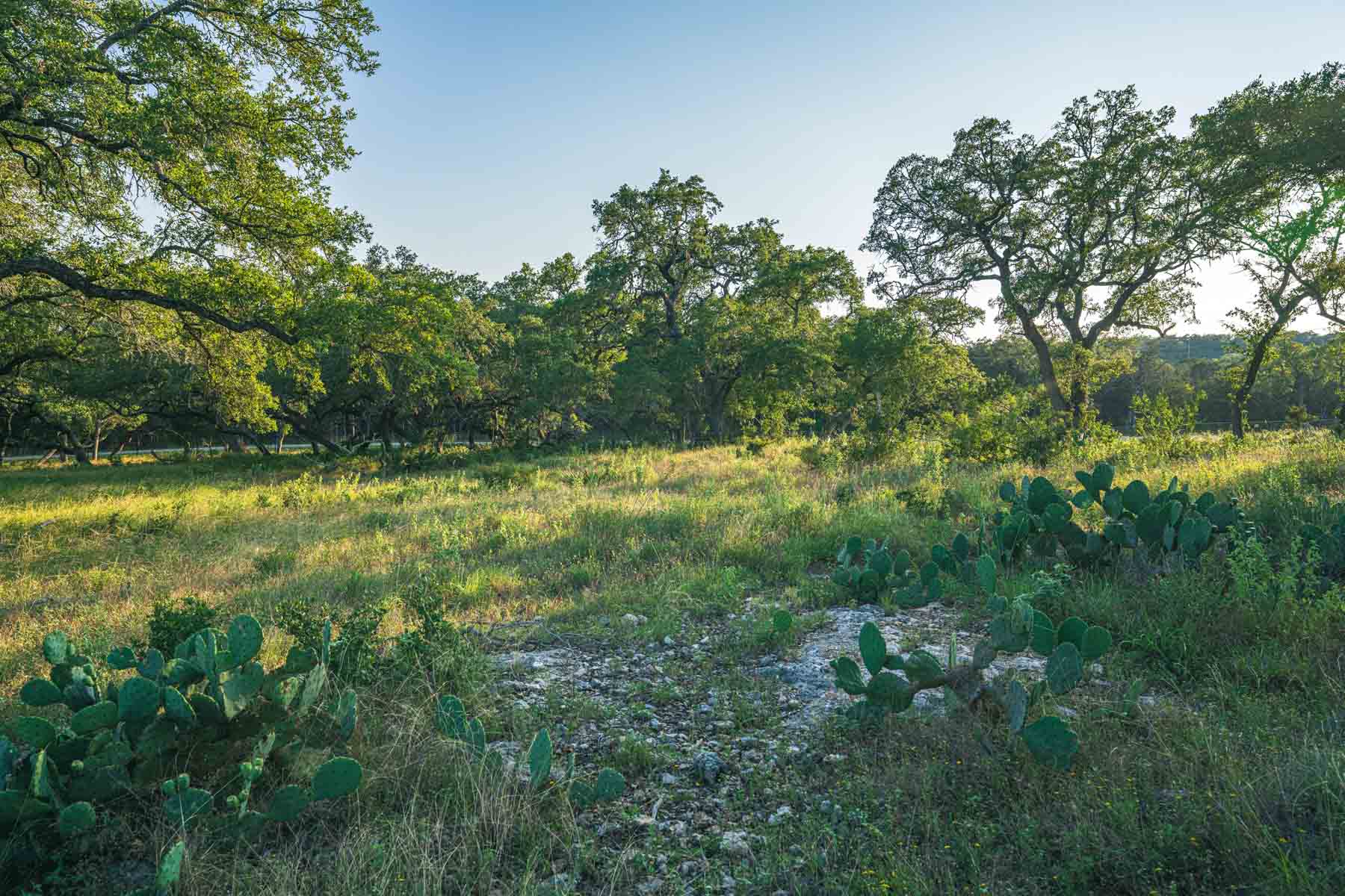 Circle S Estate property picture 12 of 79