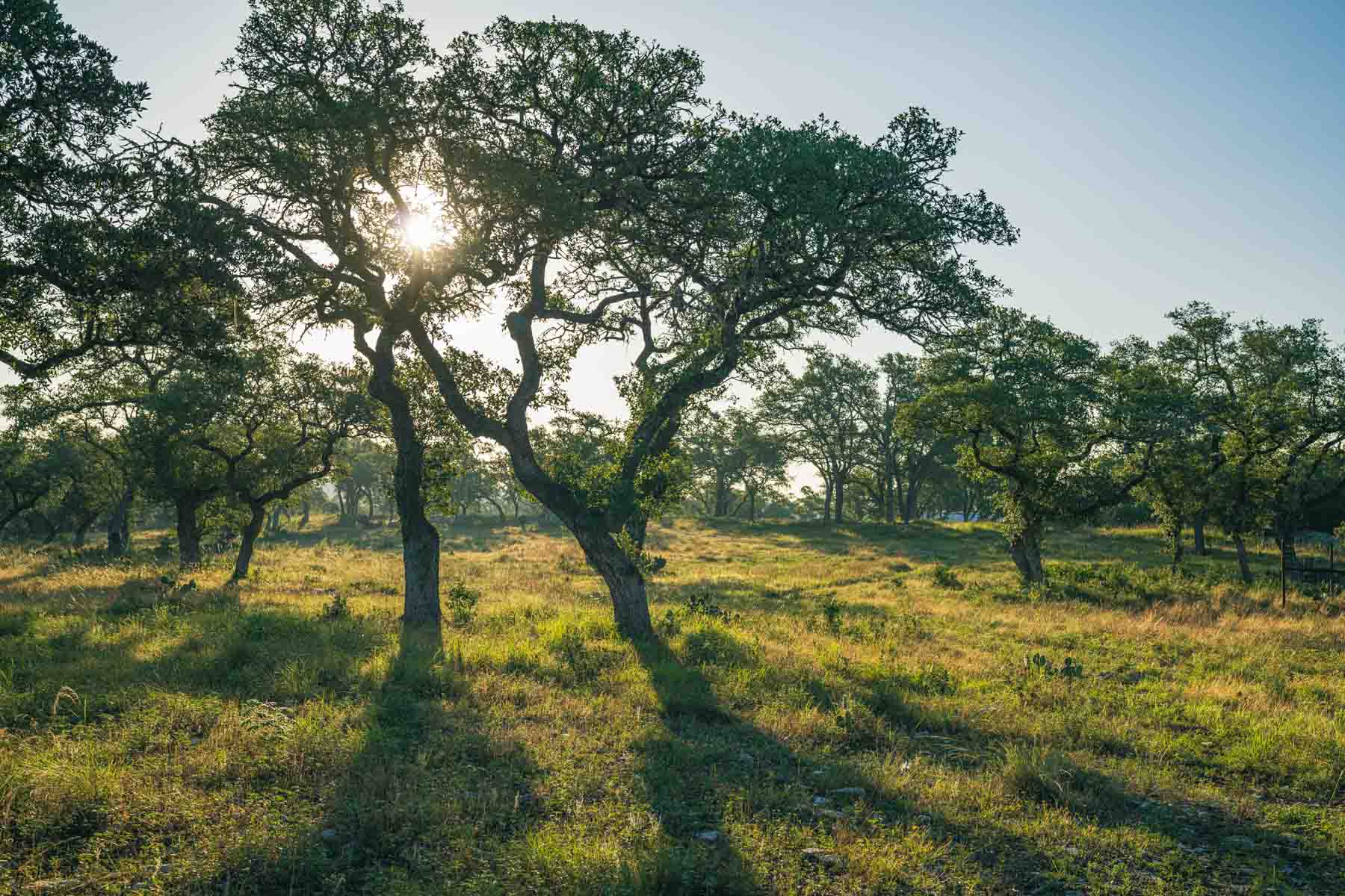 Circle S Estate property picture 31 of 79