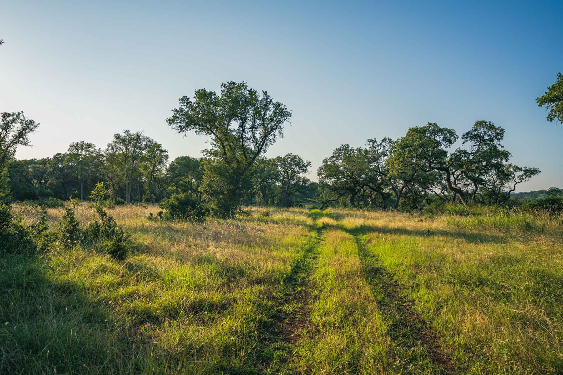 Circle S Estate property picture 14 of 79