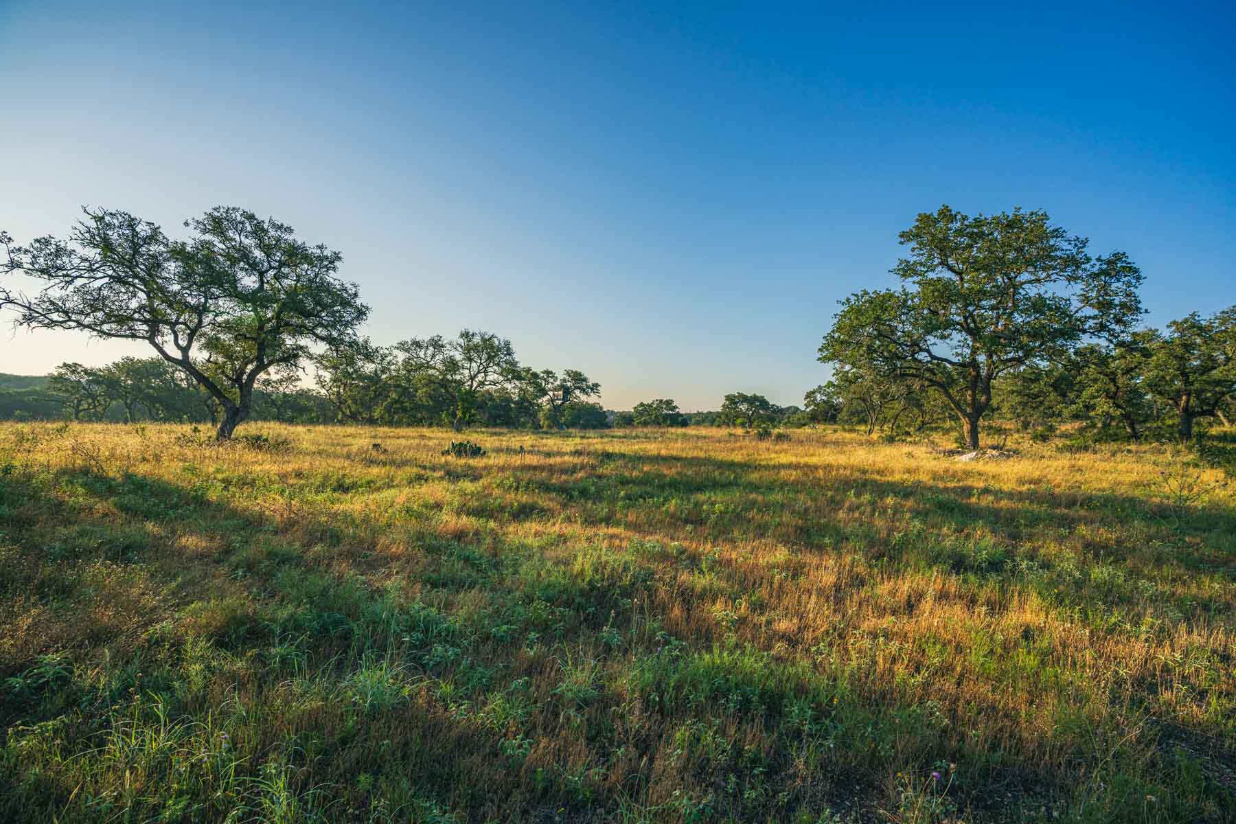 Circle S Estate property picture 29 of 79