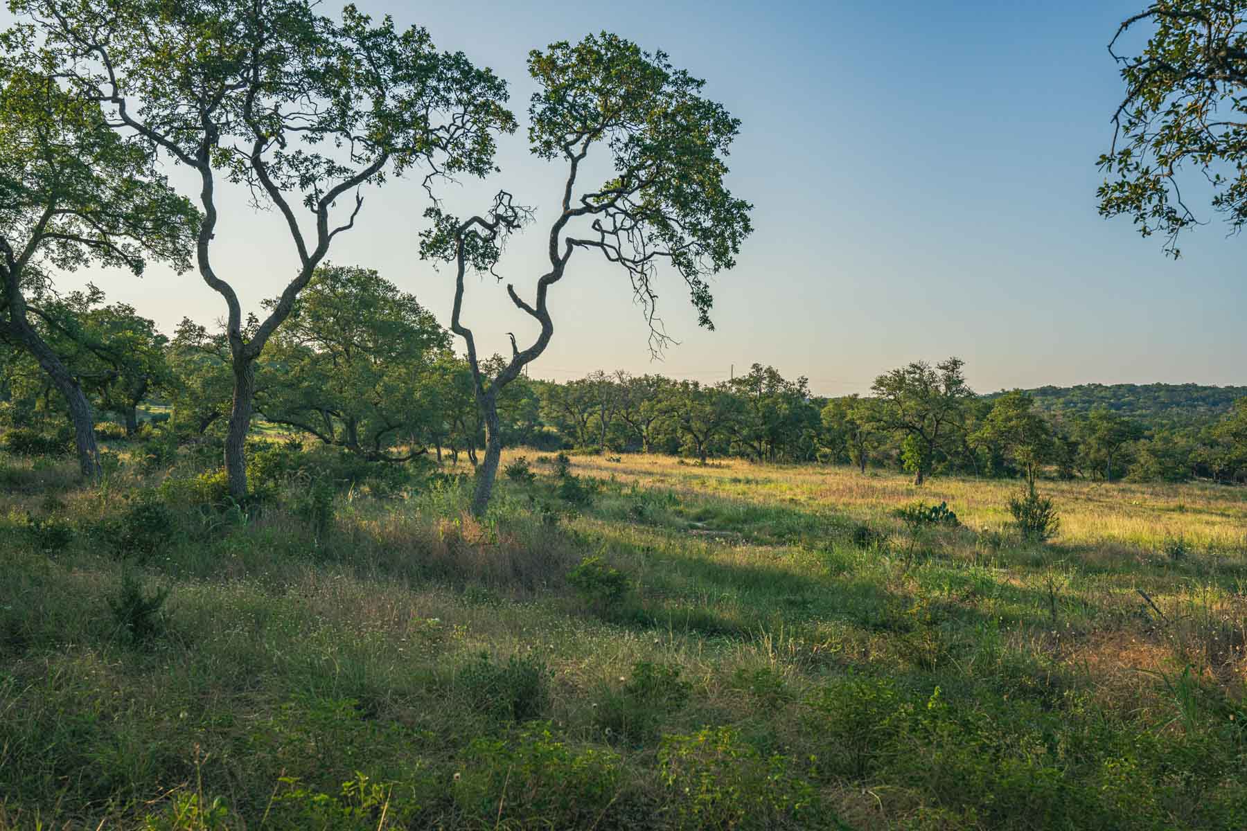 Circle S Estate property picture 24 of 79