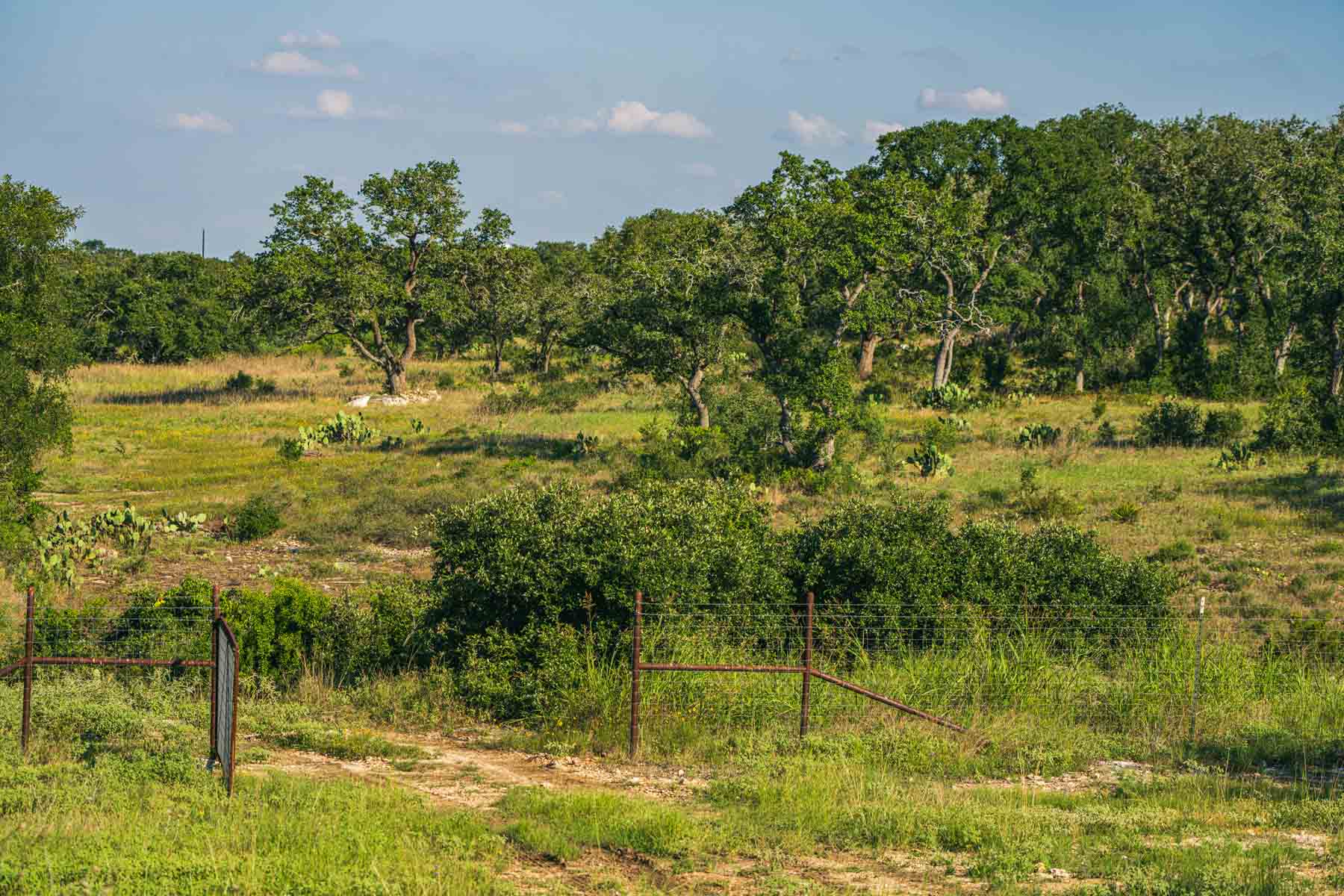 Circle S Estate property picture 35 of 79