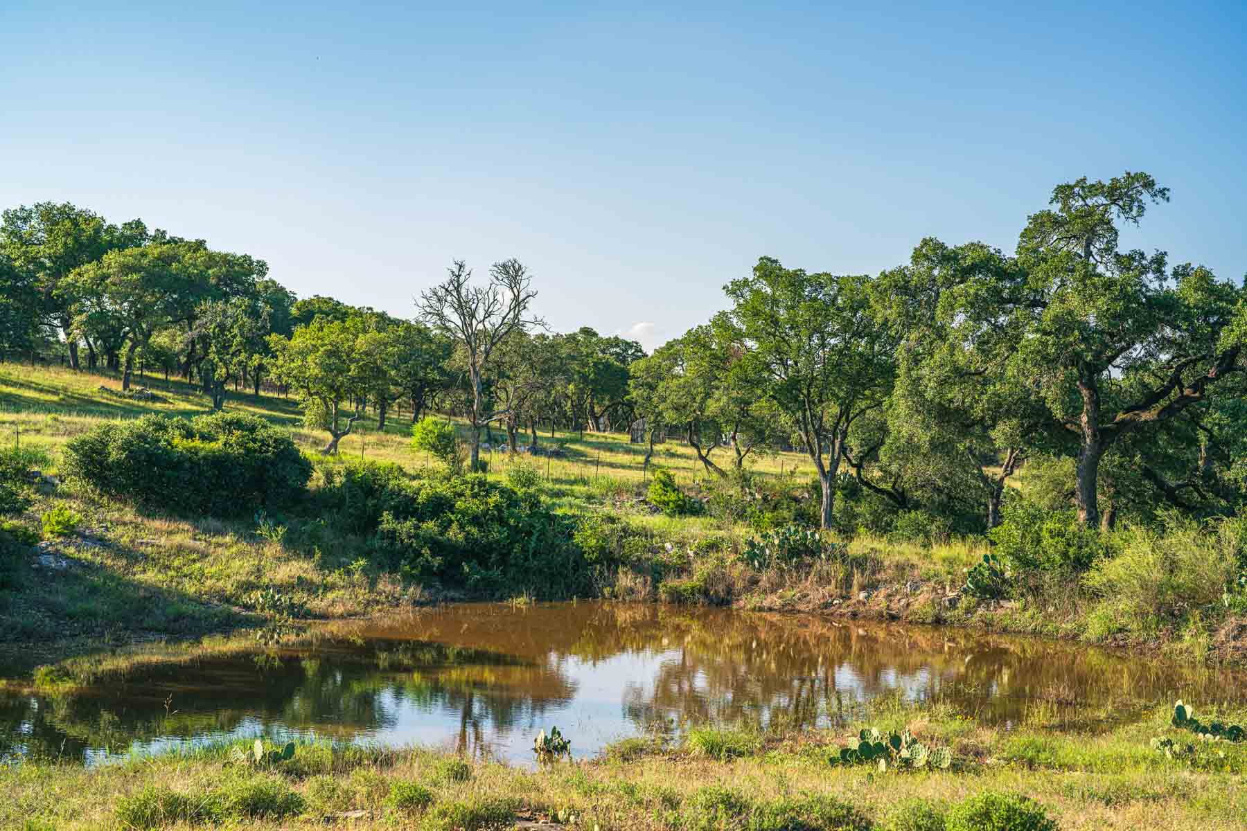 Circle S Estate property picture 40 of 79