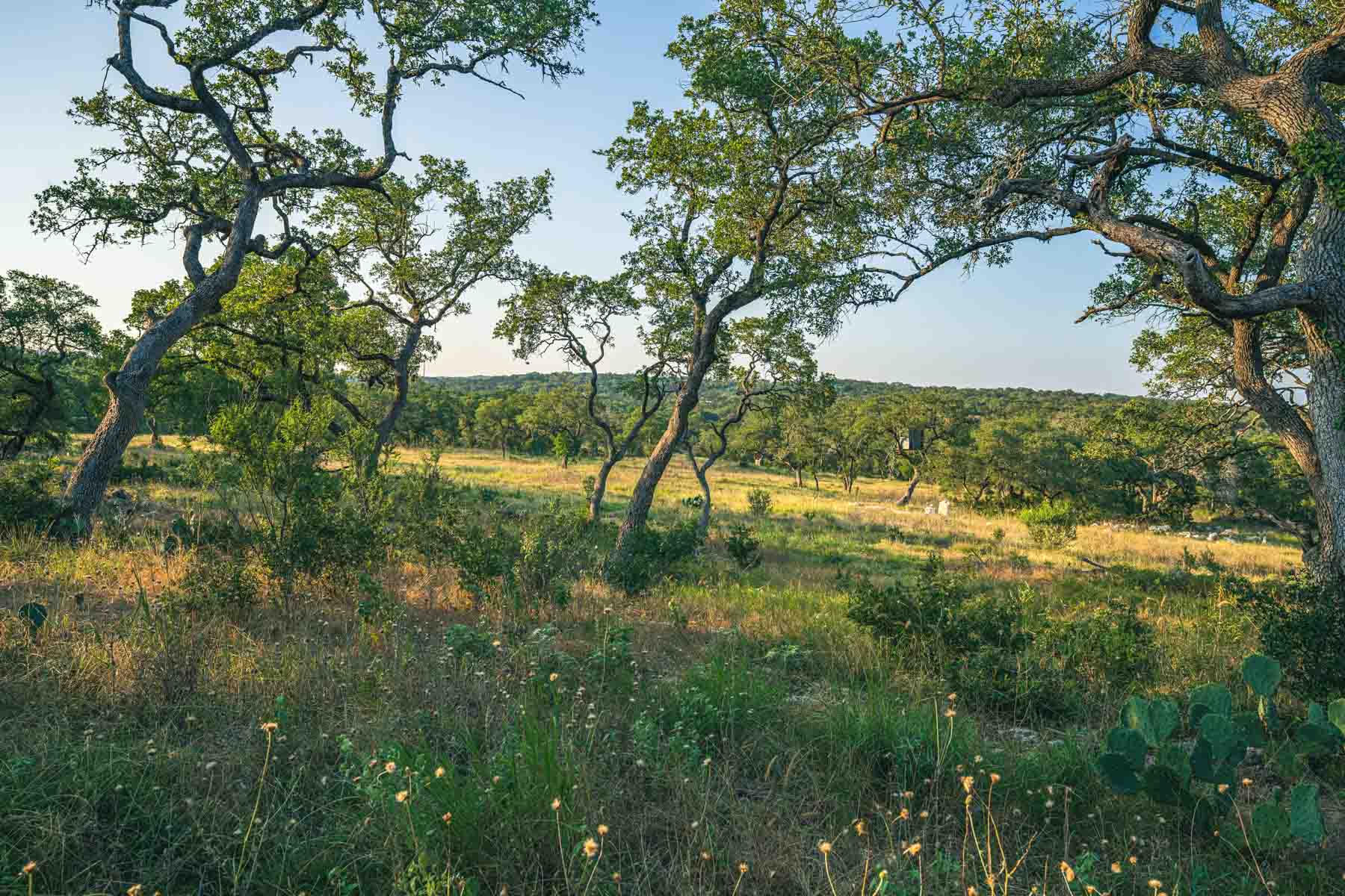 Circle S Estate property picture 15 of 79