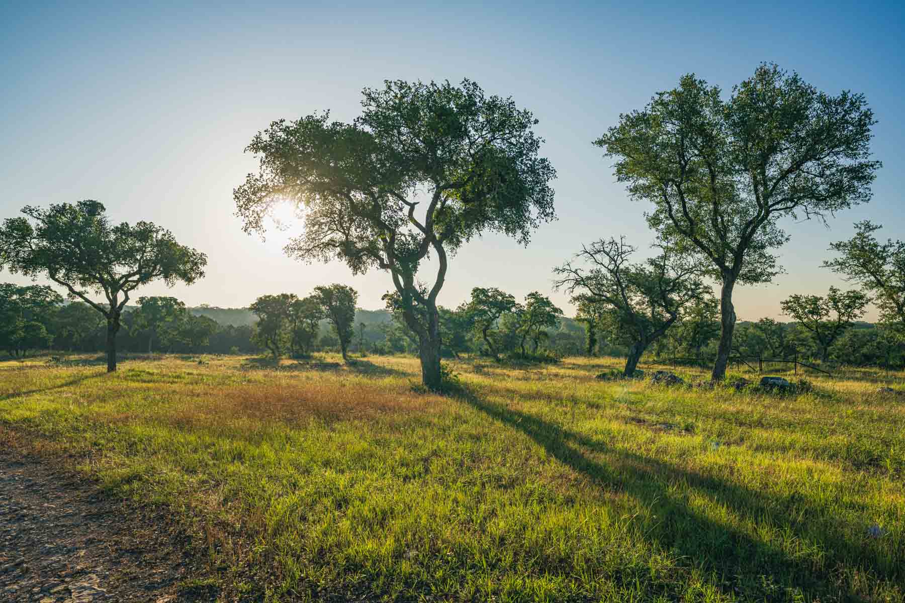 Circle S Estate property picture 30 of 79