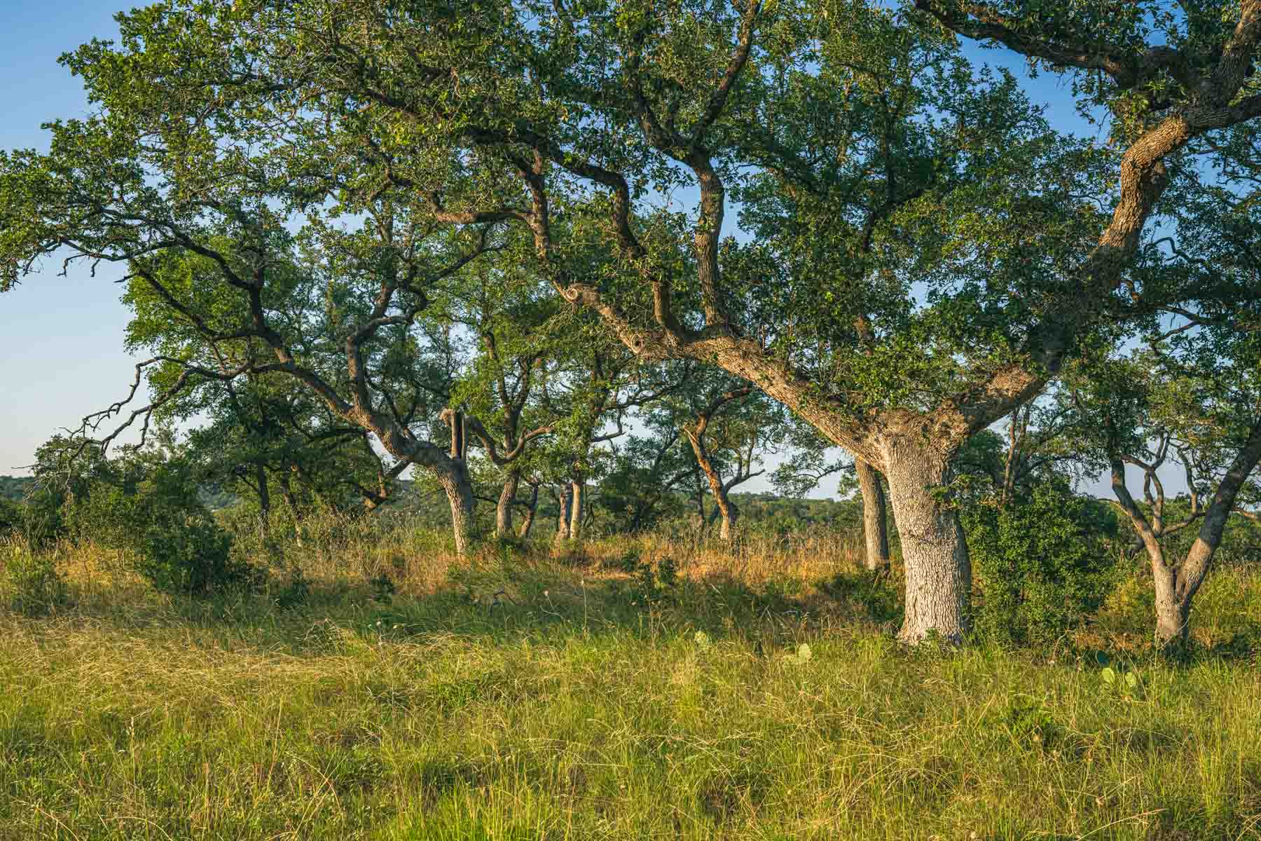 Circle S Estate property picture 23 of 79