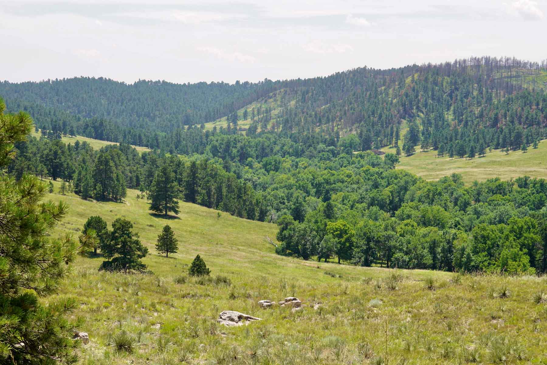 Bozle Creek Ranch property picture 42 of 87