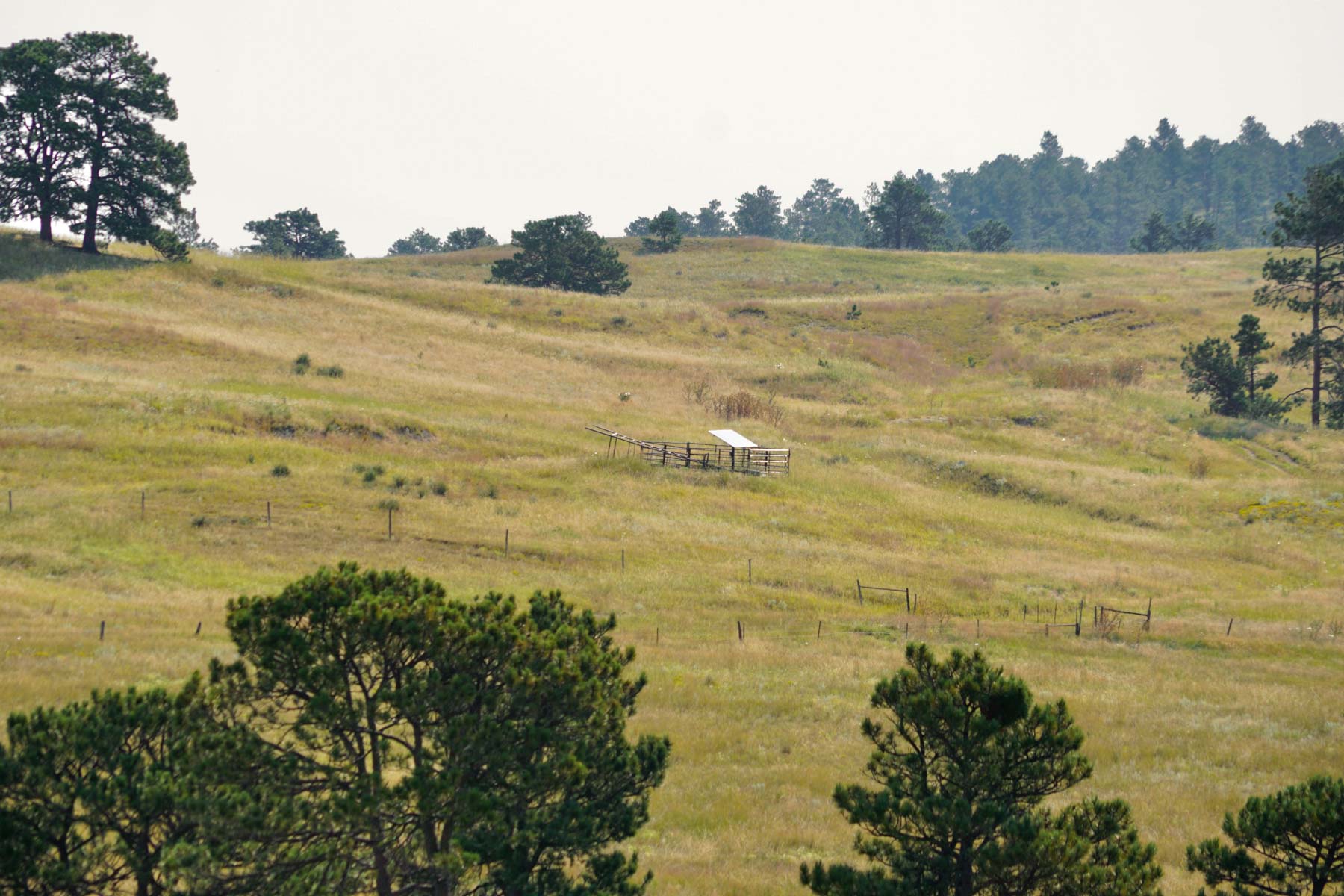 Bozle Creek Ranch property picture 66 of 87