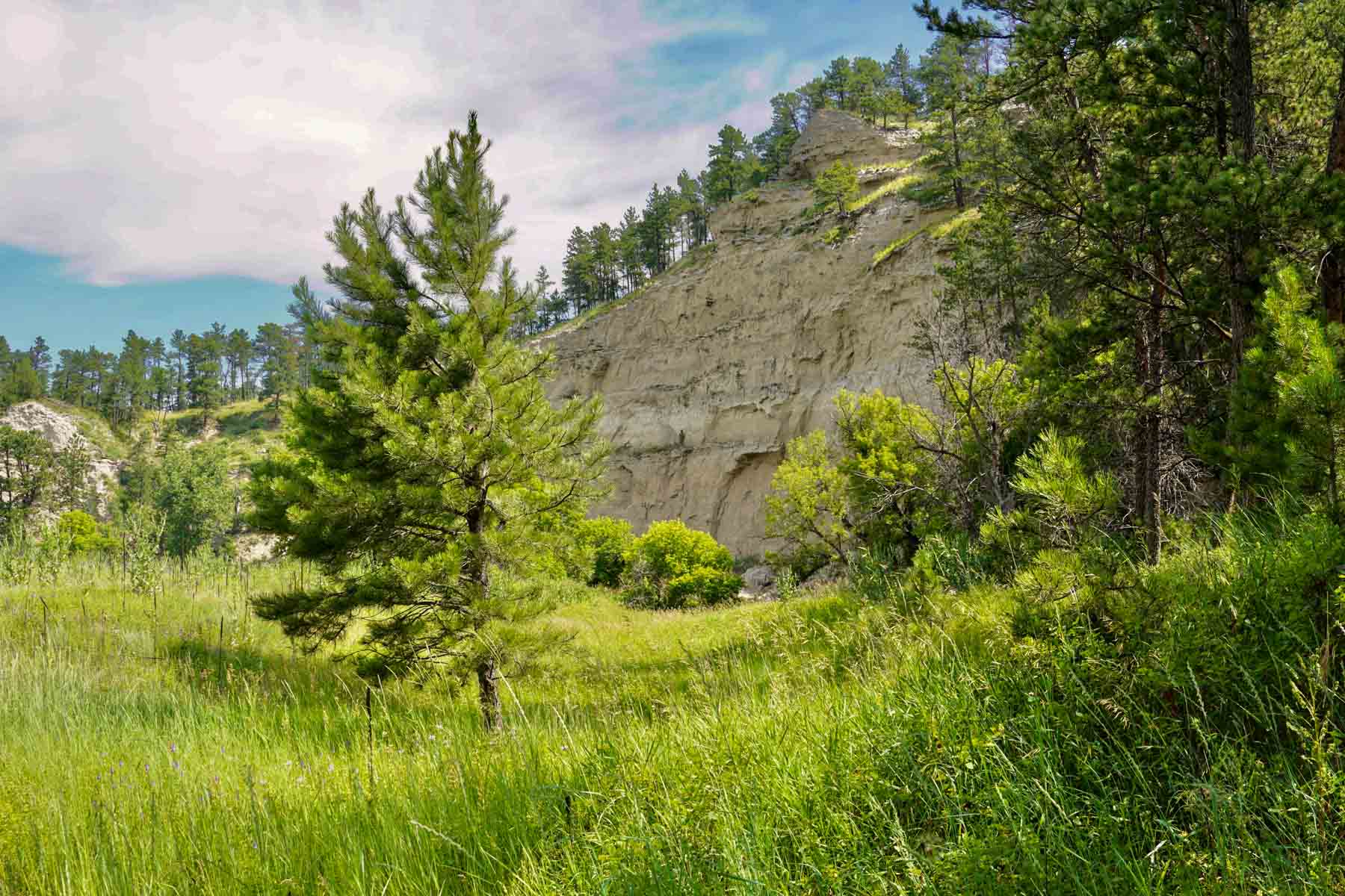 Bozle Creek Ranch property picture 20 of 87