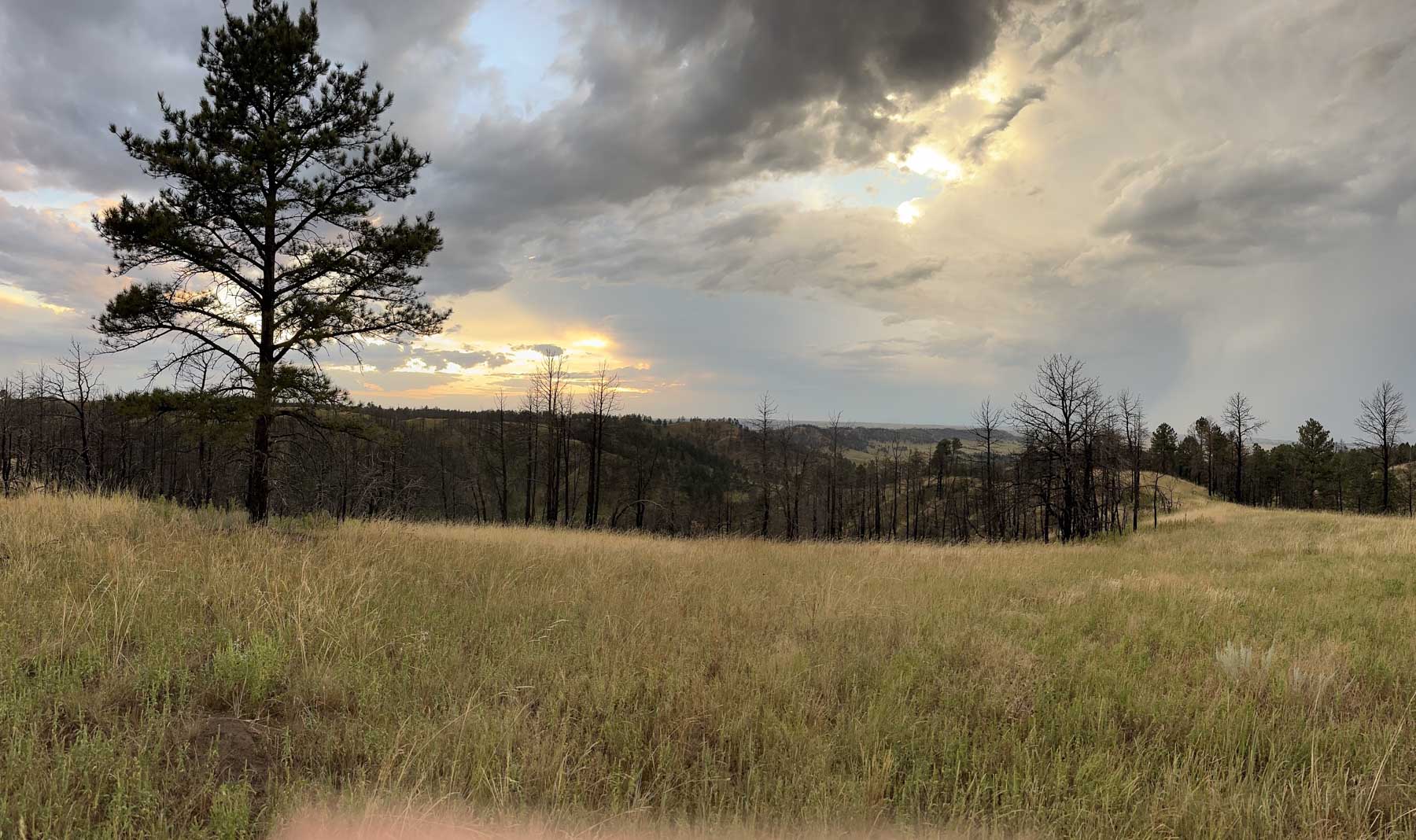 Bozle Creek Ranch property picture 63 of 87