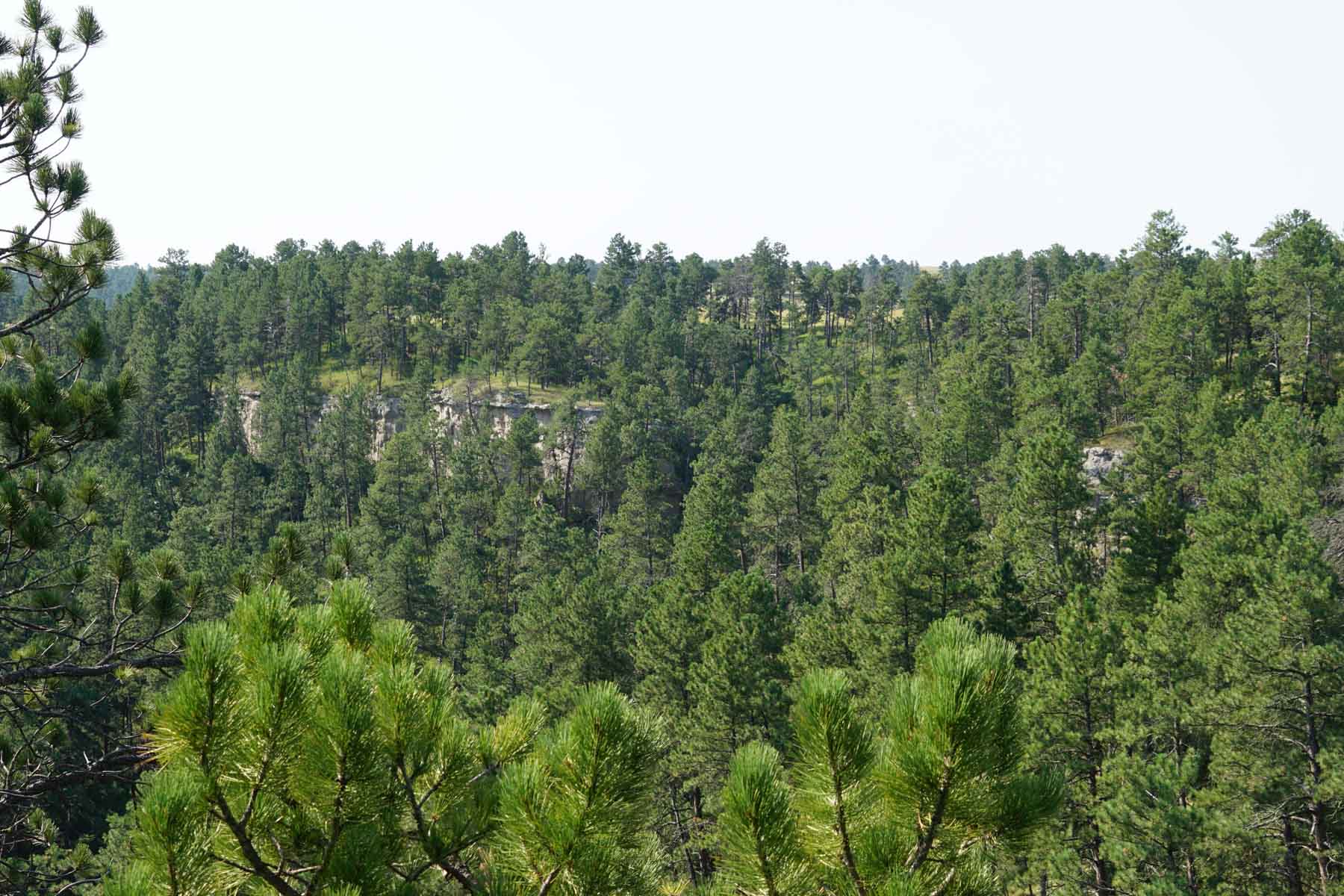 Bozle Creek Ranch property picture 79 of 87