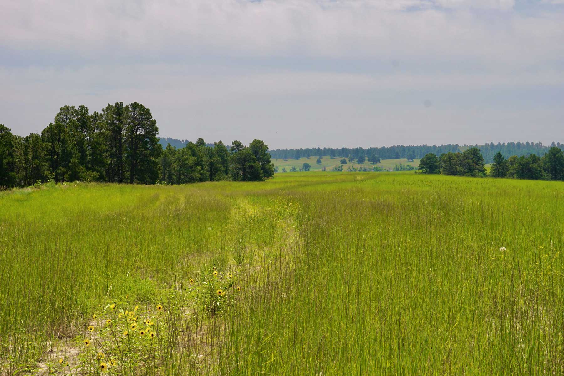 Bozle Creek Ranch property picture 17 of 87