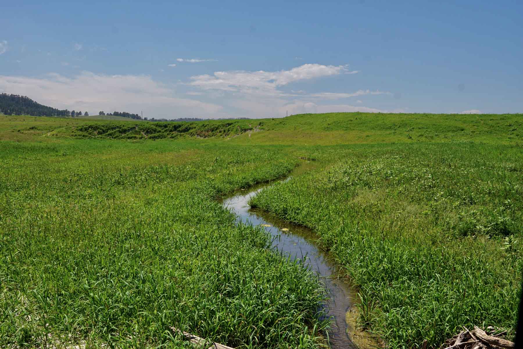 Bozle Creek Ranch property picture 15 of 87