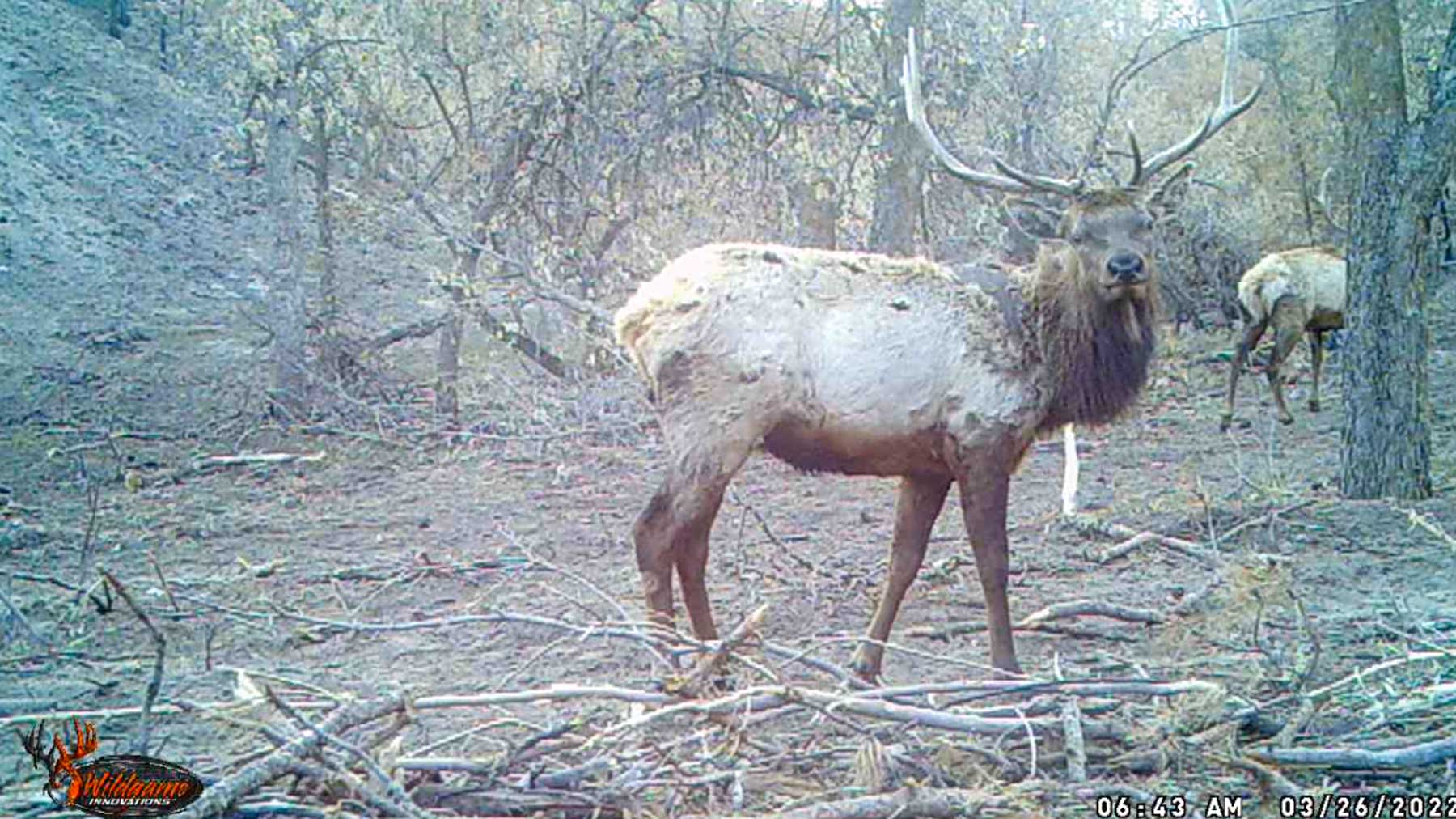 Bozle Creek Ranch property picture 10 of 87