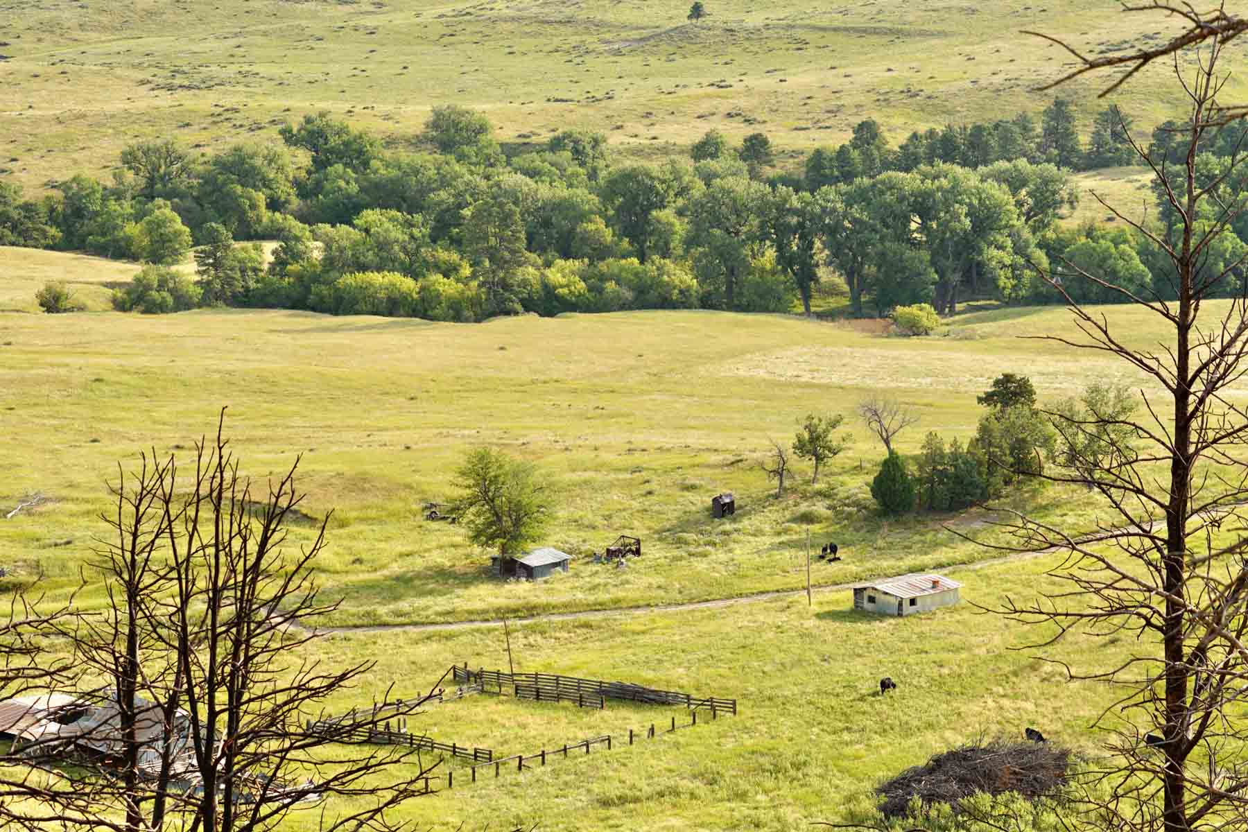 Bozle Creek Ranch property picture 71 of 87