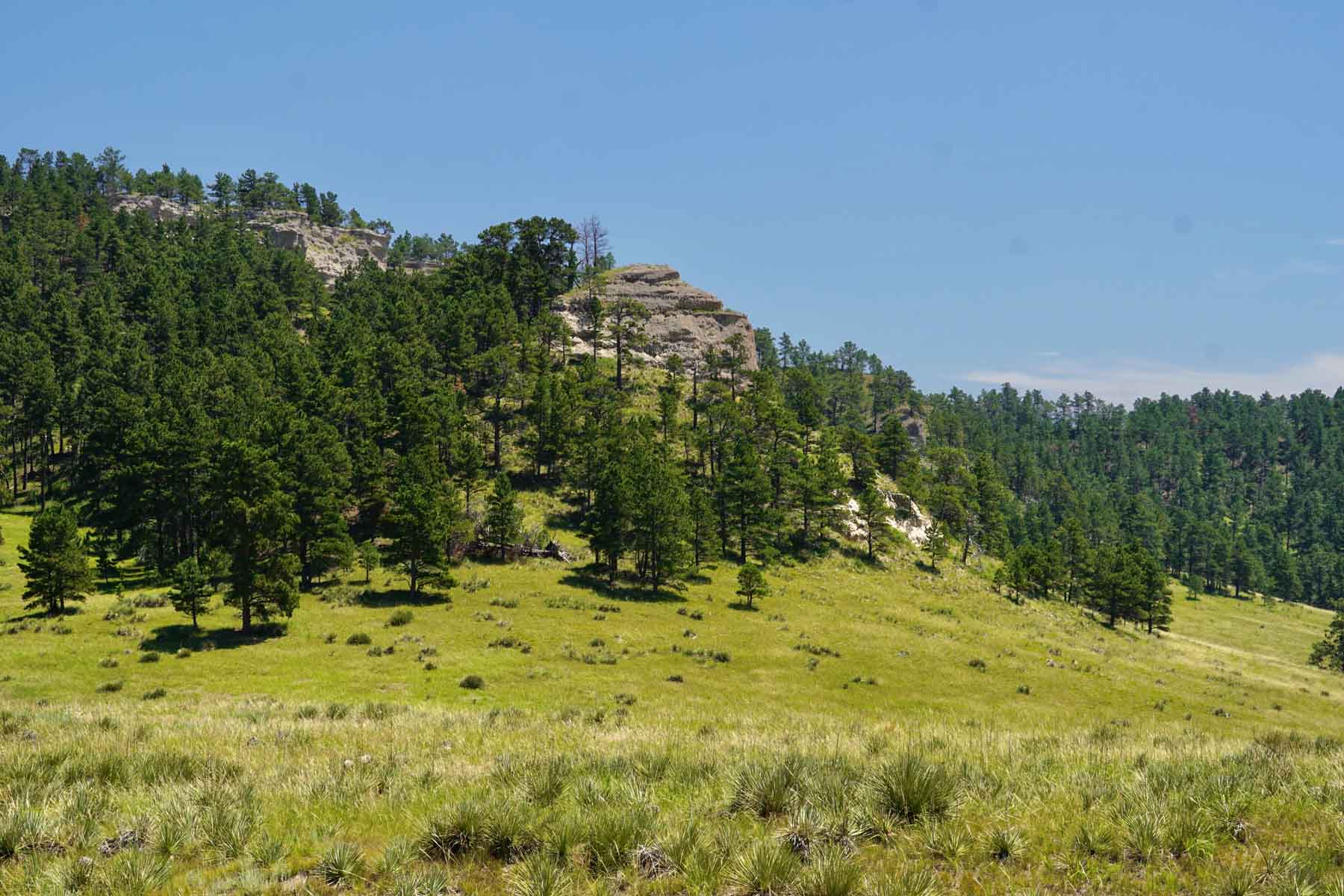 Bozle Creek Ranch property picture 41 of 87