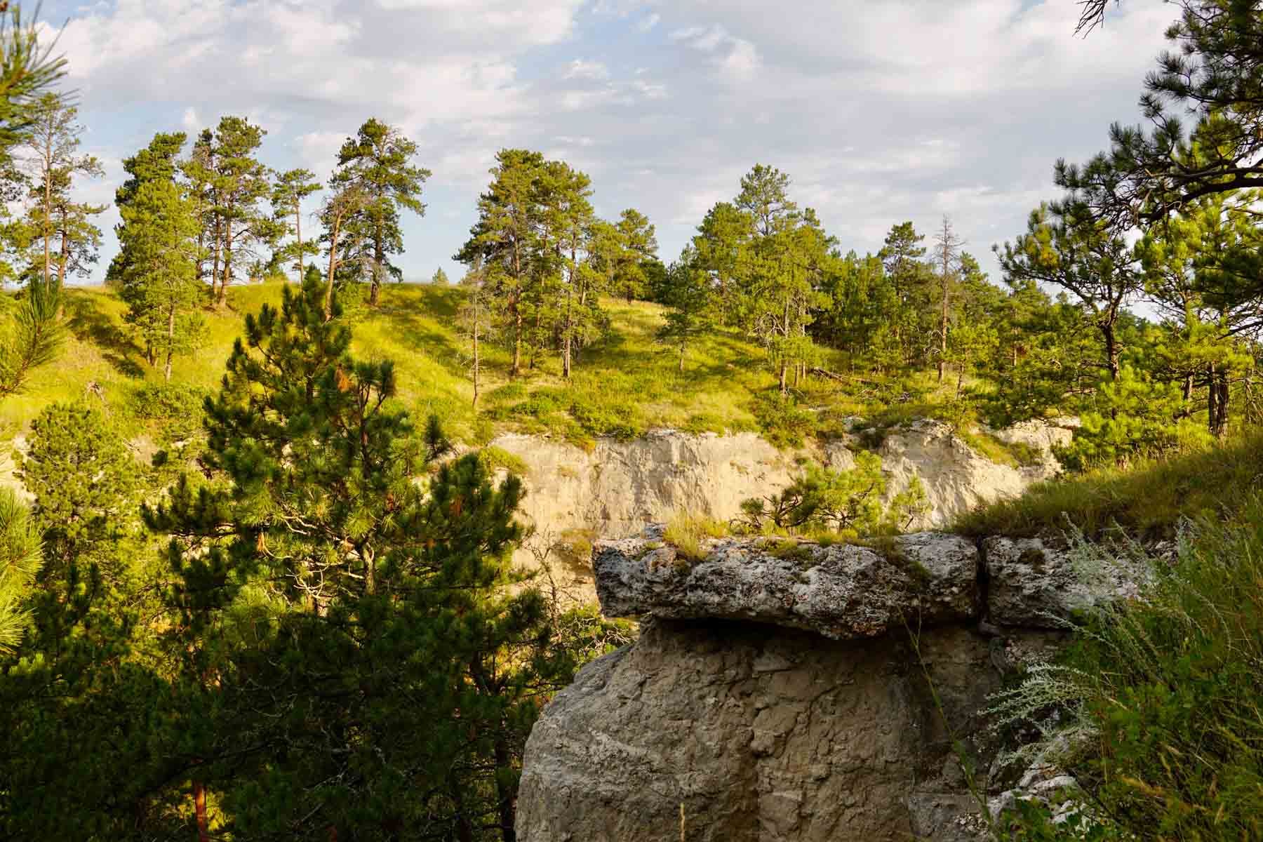 Bozle Creek Ranch property picture 68 of 87
