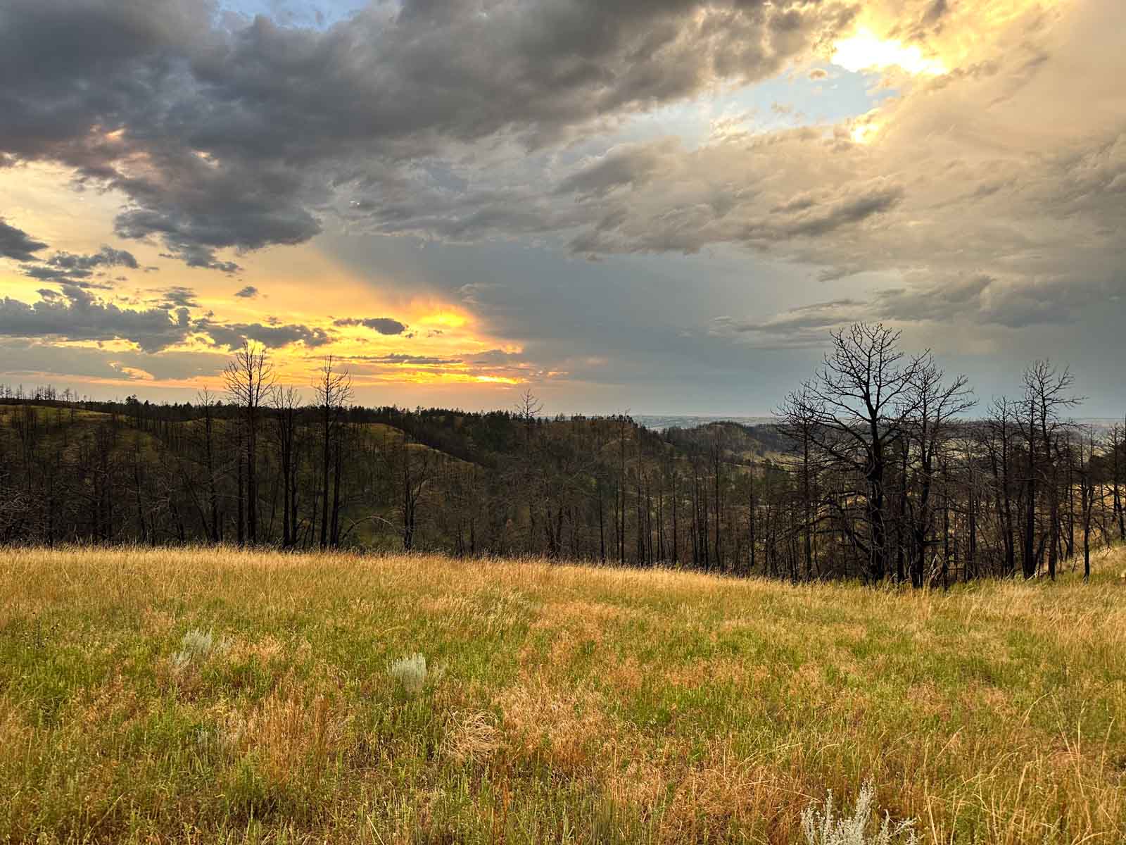 Bozle Creek Ranch property picture 58 of 87