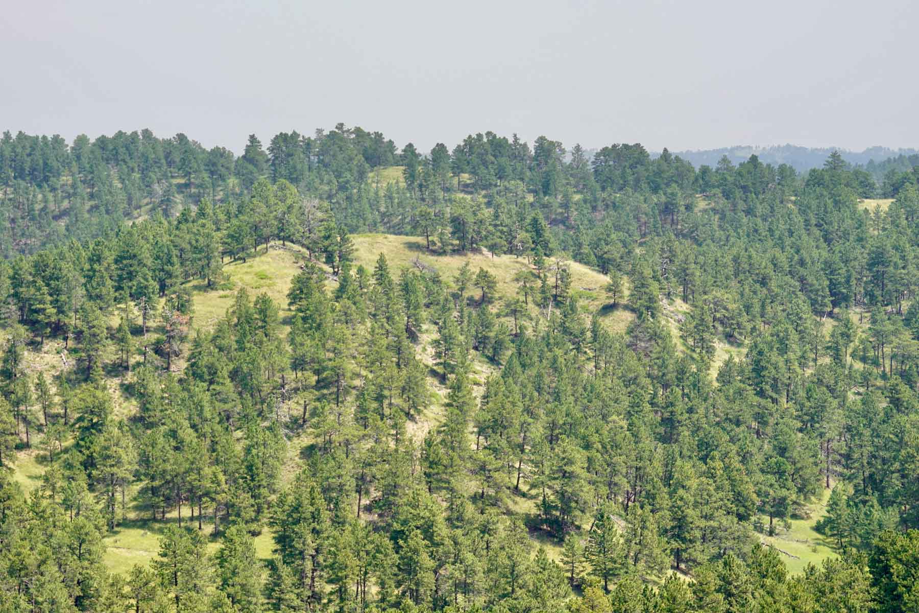 Bozle Creek Ranch property picture 25 of 87