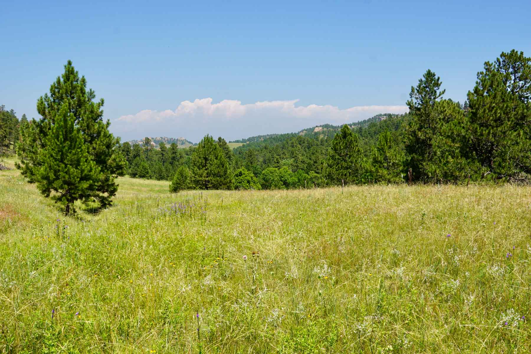 Bozle Creek Ranch property picture 34 of 87