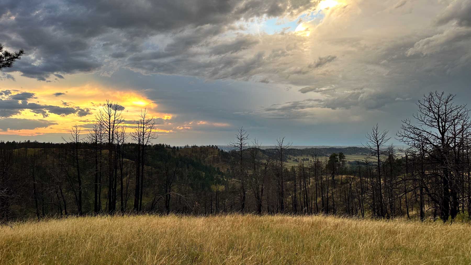 Bozle Creek Ranch property picture 64 of 87