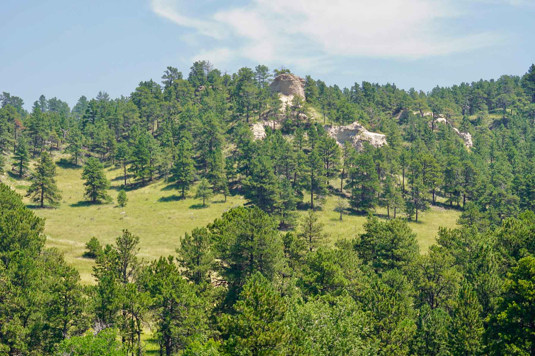 Bozle Creek Ranch property picture 6 of 87