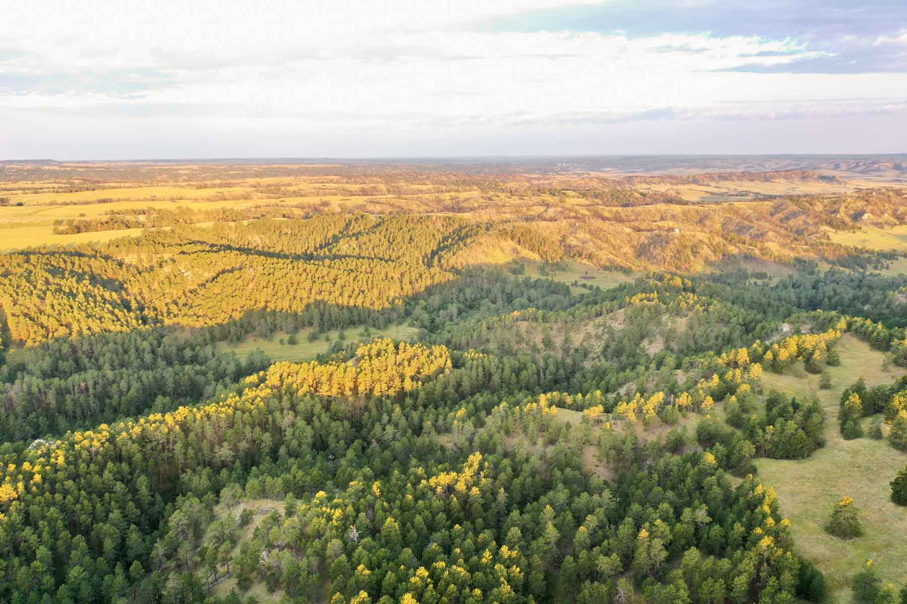 Bozle Creek Ranch property picture 67 of 87