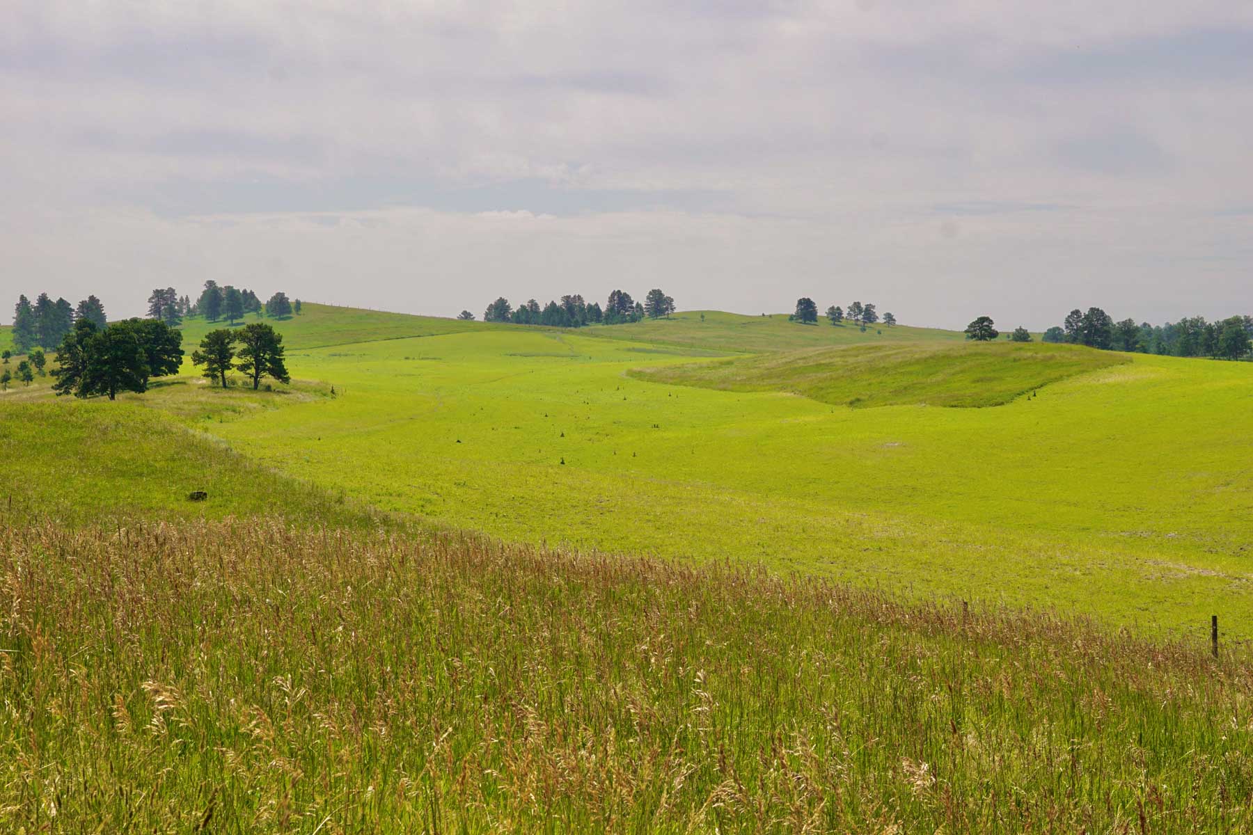 Bozle Creek Ranch property picture 22 of 87