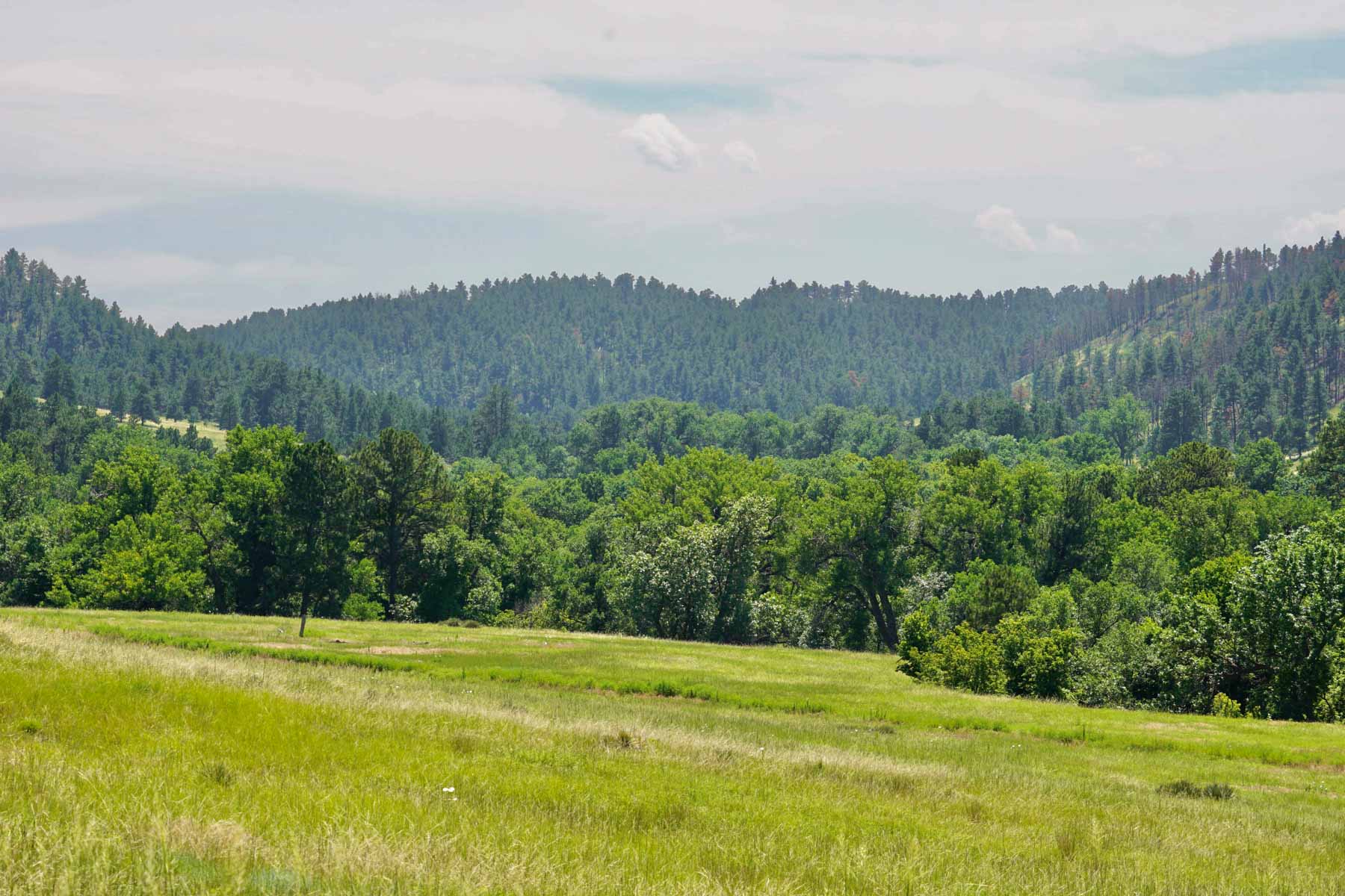 Bozle Creek Ranch property picture 39 of 87