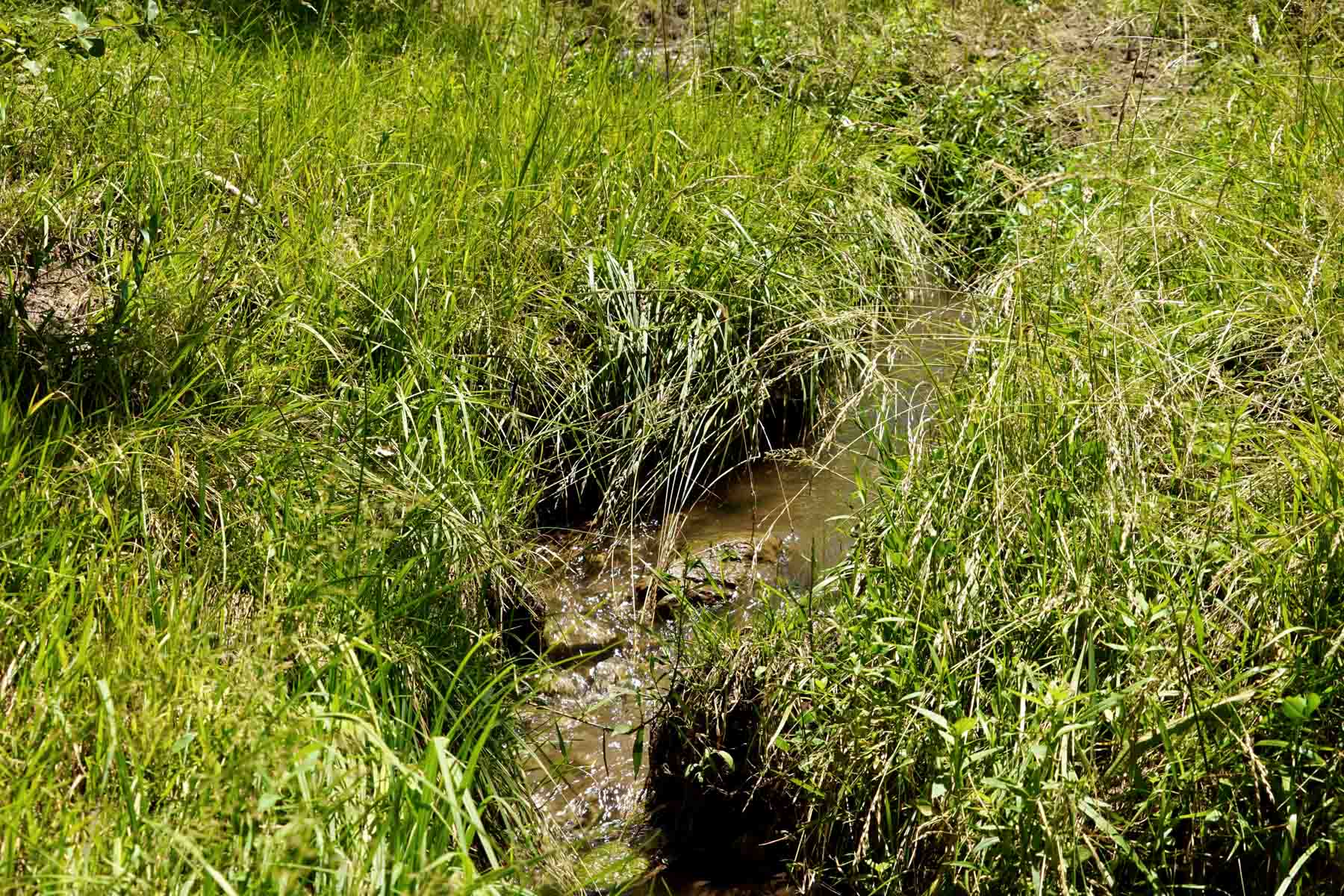 Bozle Creek Ranch property picture 70 of 87