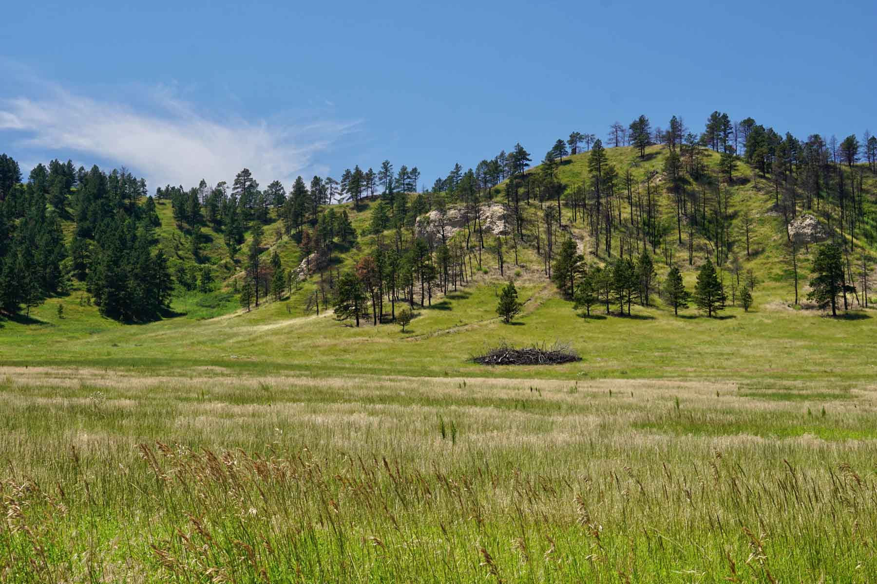 Bozle Creek Ranch property picture 35 of 87