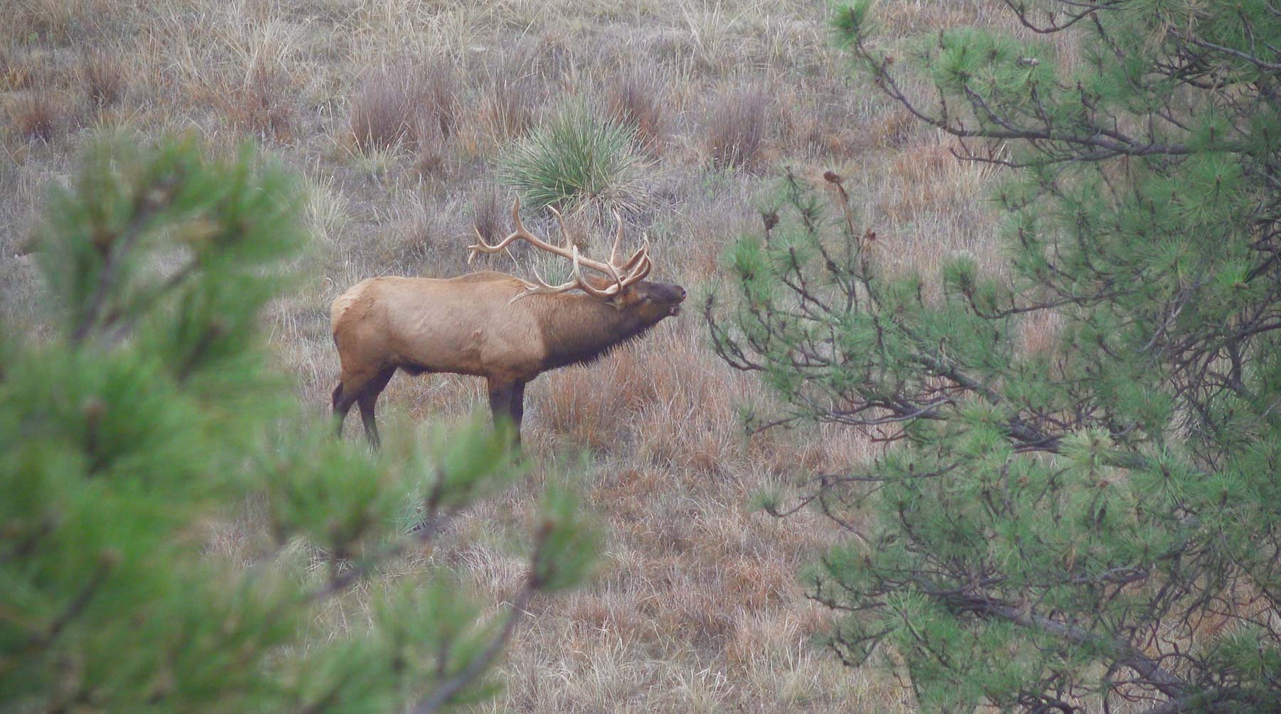 Bozle Creek Ranch property picture 3 of 87