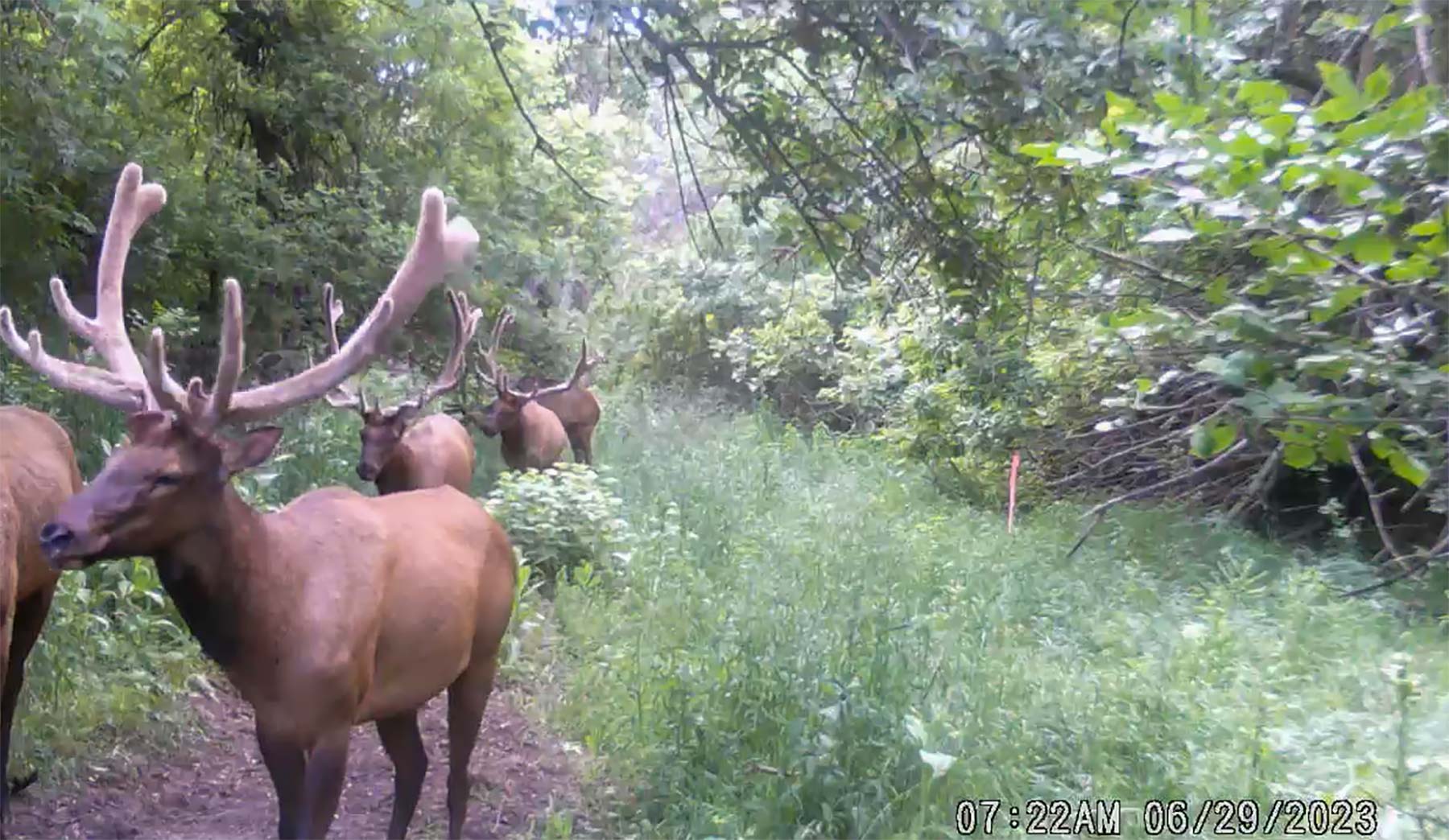 Bozle Creek Ranch property picture 9 of 87