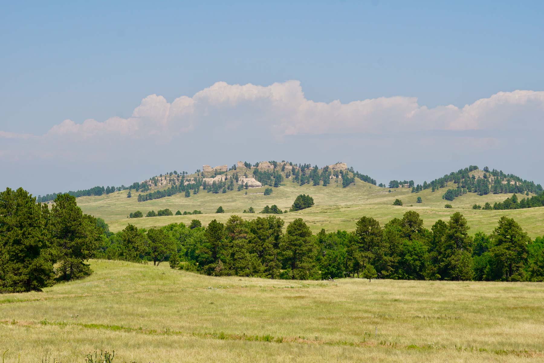 Bozle Creek Ranch property picture 13 of 87