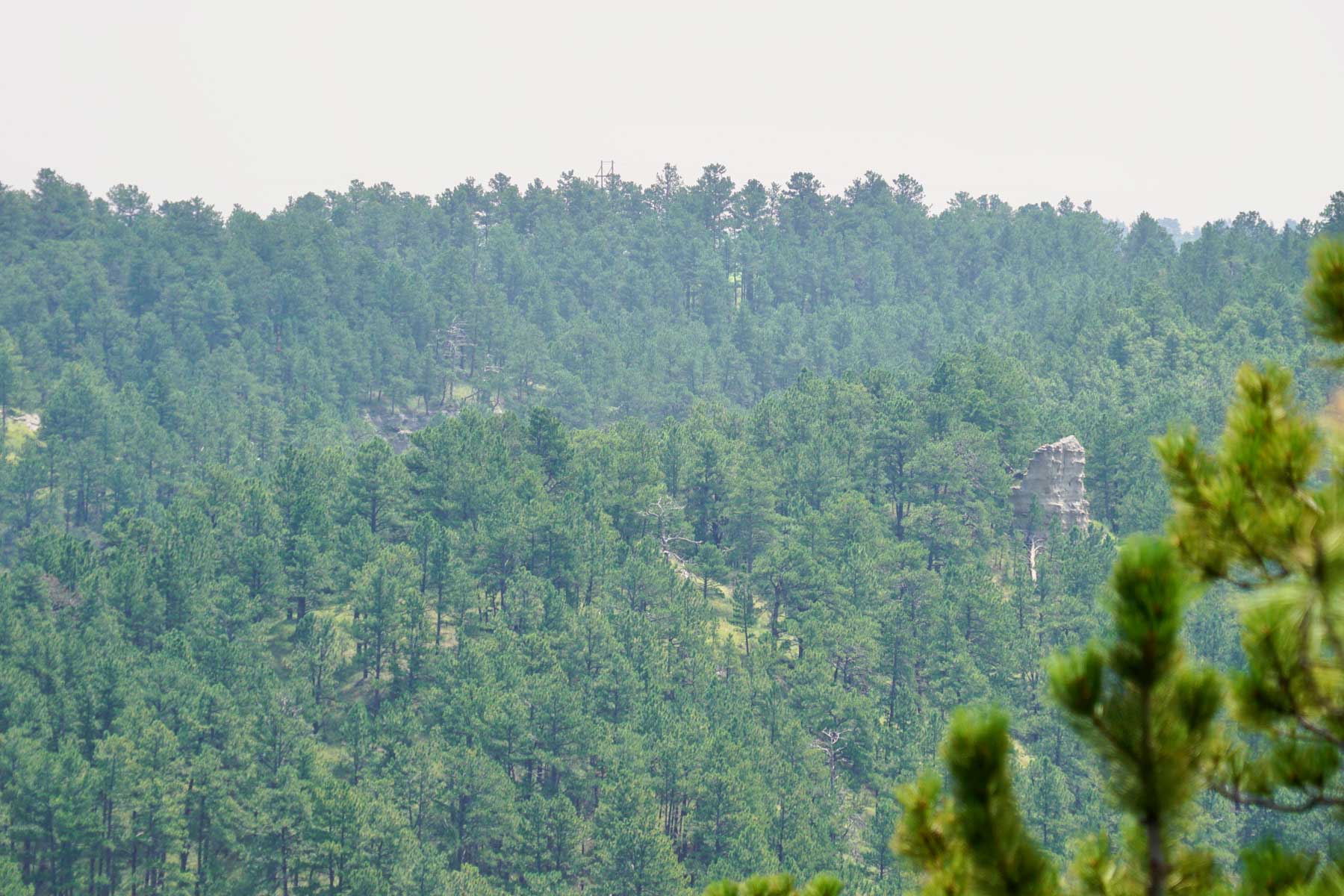 Bozle Creek Ranch property picture 27 of 87