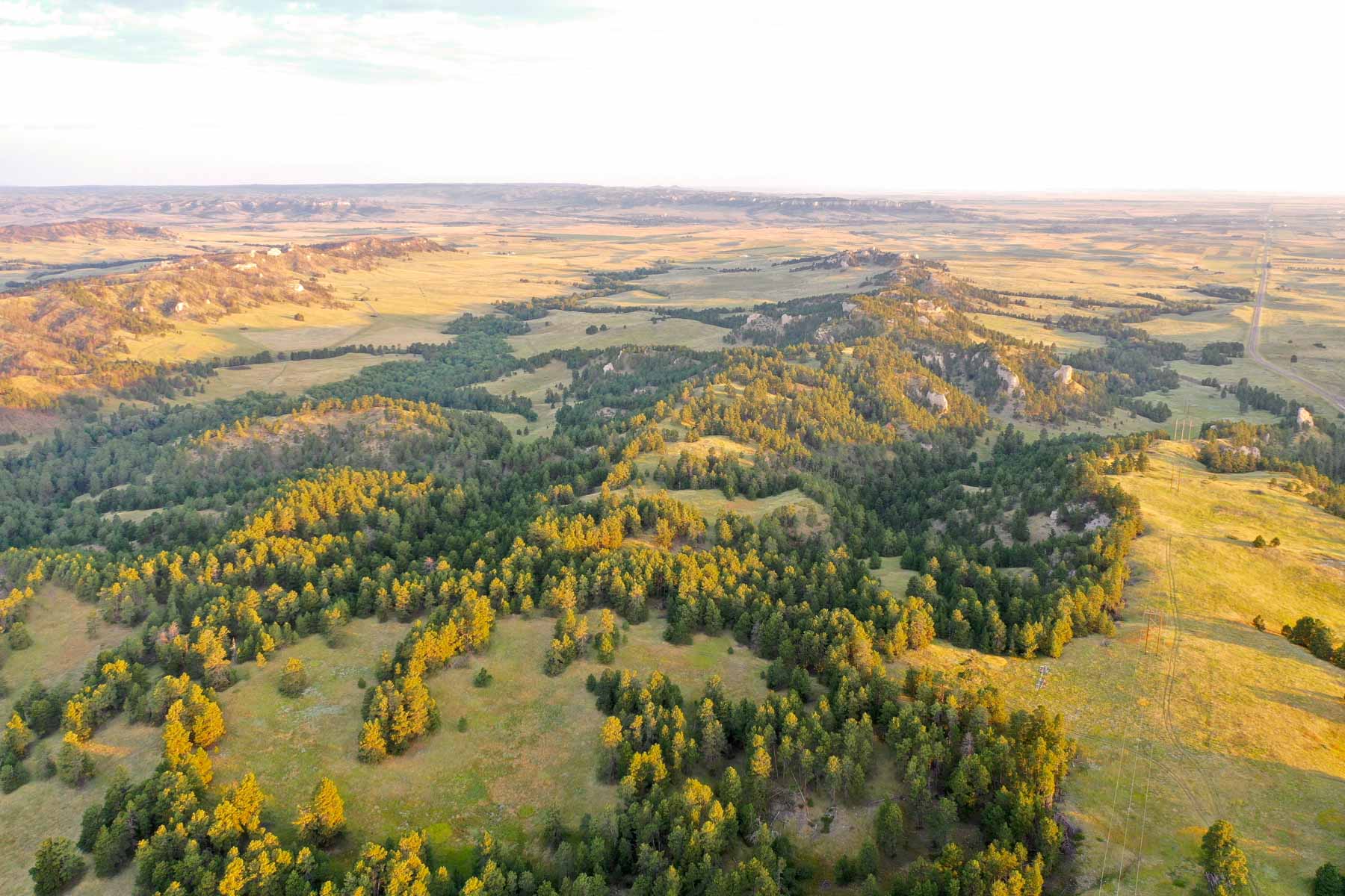 Bozle Creek Ranch For Sale Nebraska Hall and Hall