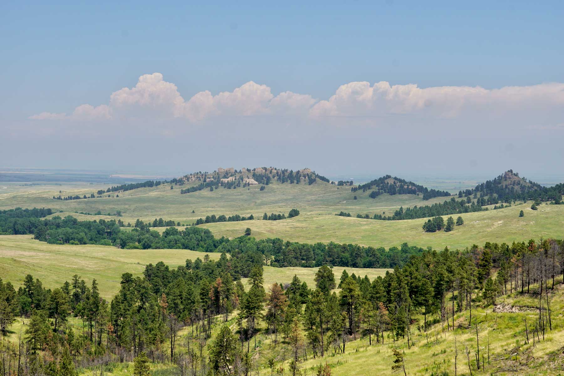 Bozle Creek Ranch property picture 28 of 87
