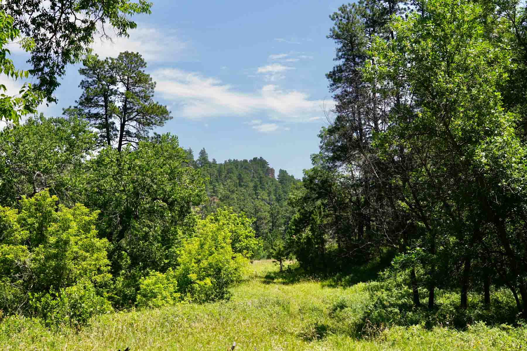 Bozle Creek Ranch property picture 8 of 87