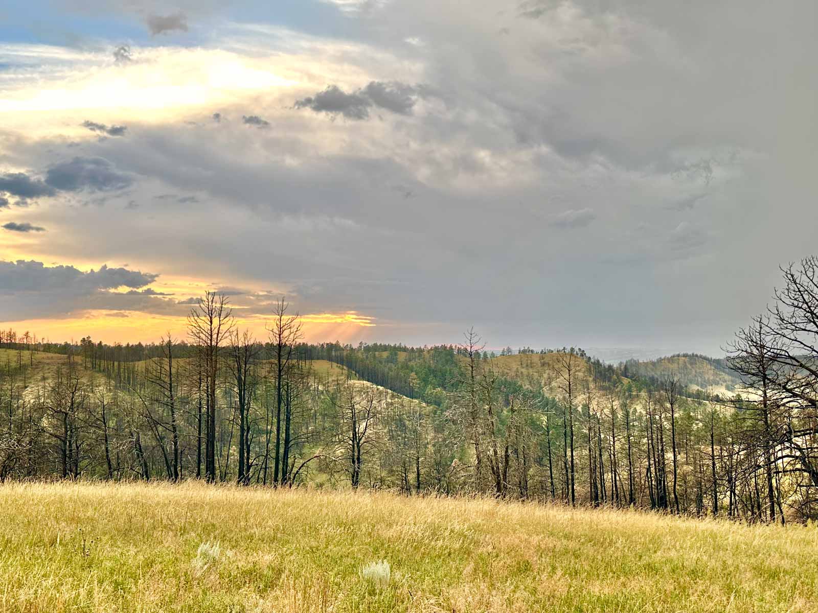 Bozle Creek Ranch property picture 59 of 87