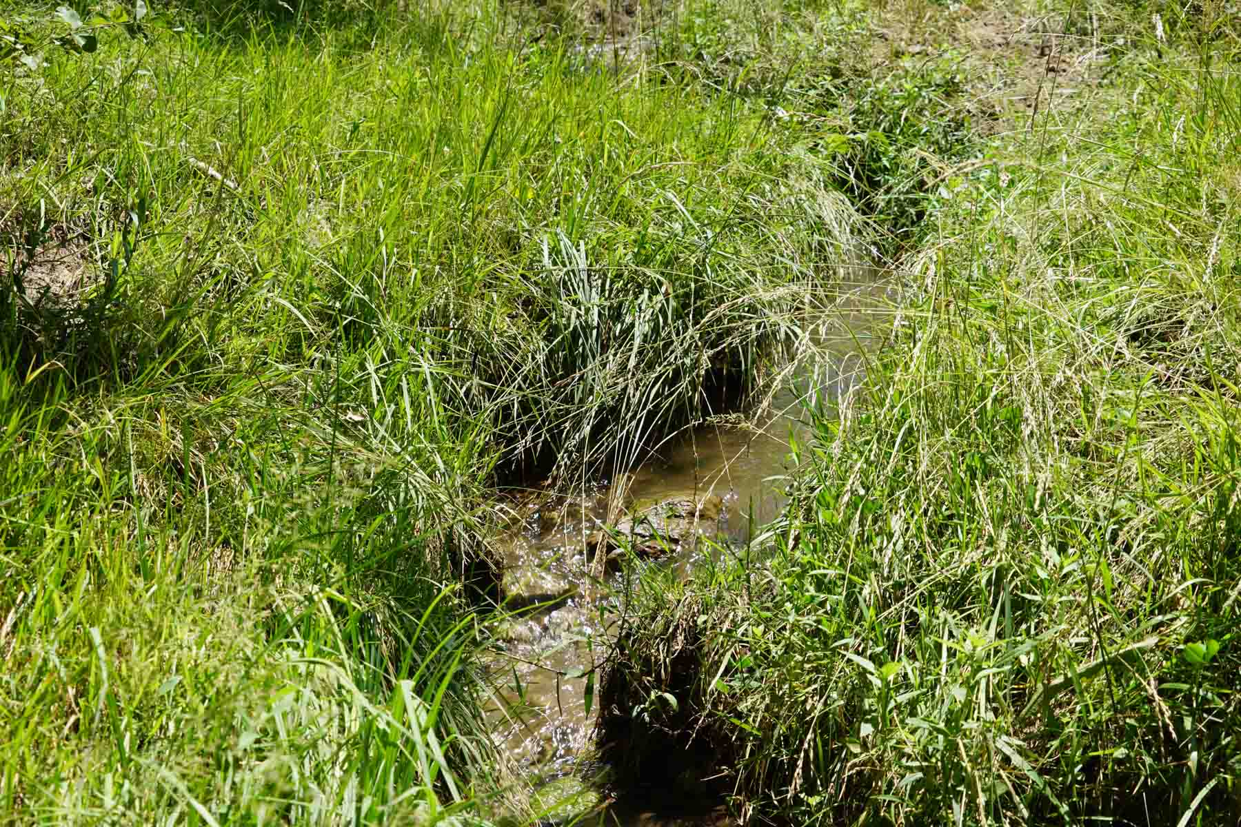 Bozle Creek Ranch property picture 37 of 87