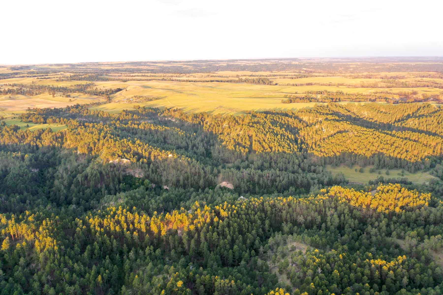 Bozle Creek Ranch property picture 65 of 87