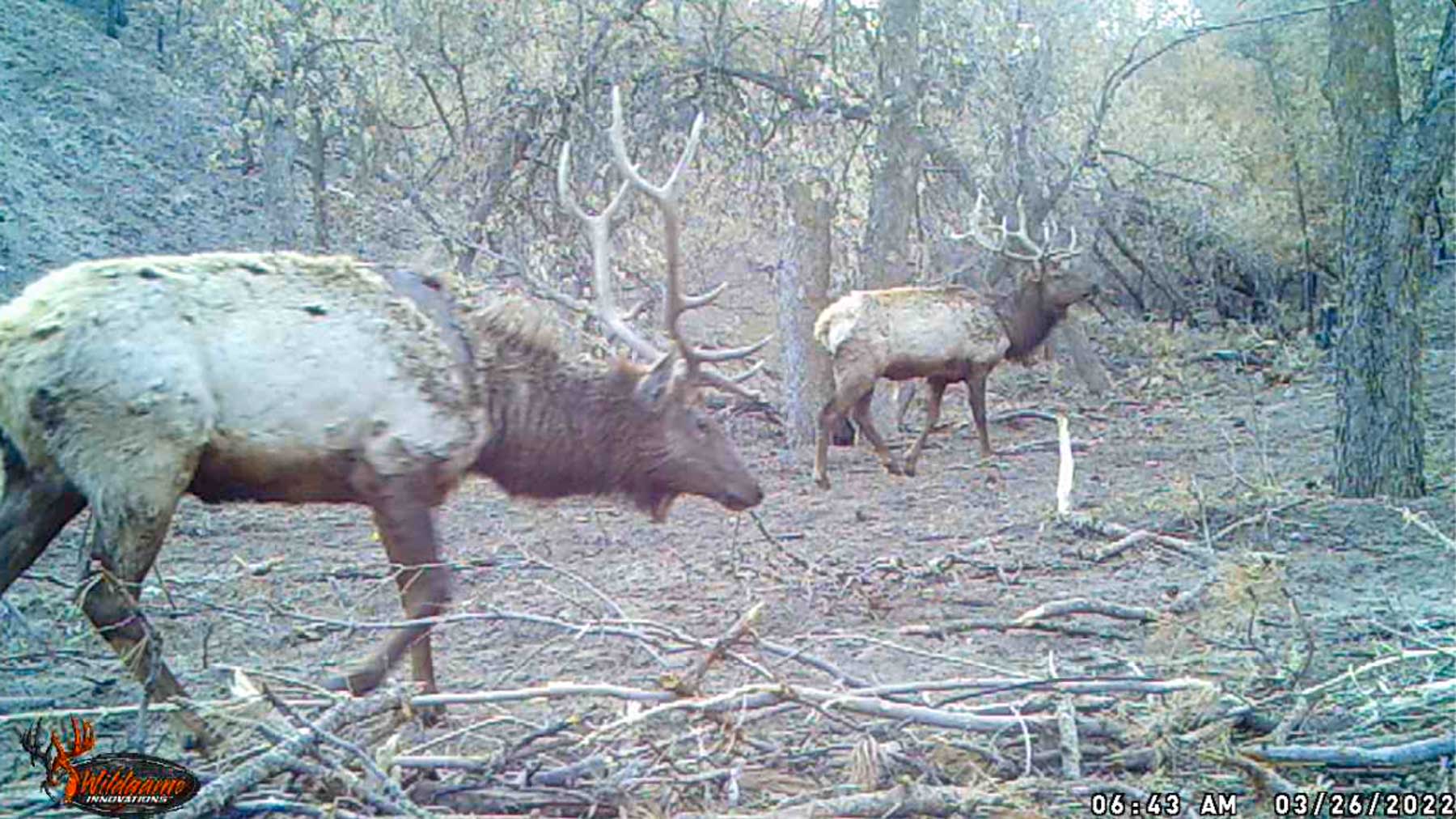 Bozle Creek Ranch property picture 75 of 87