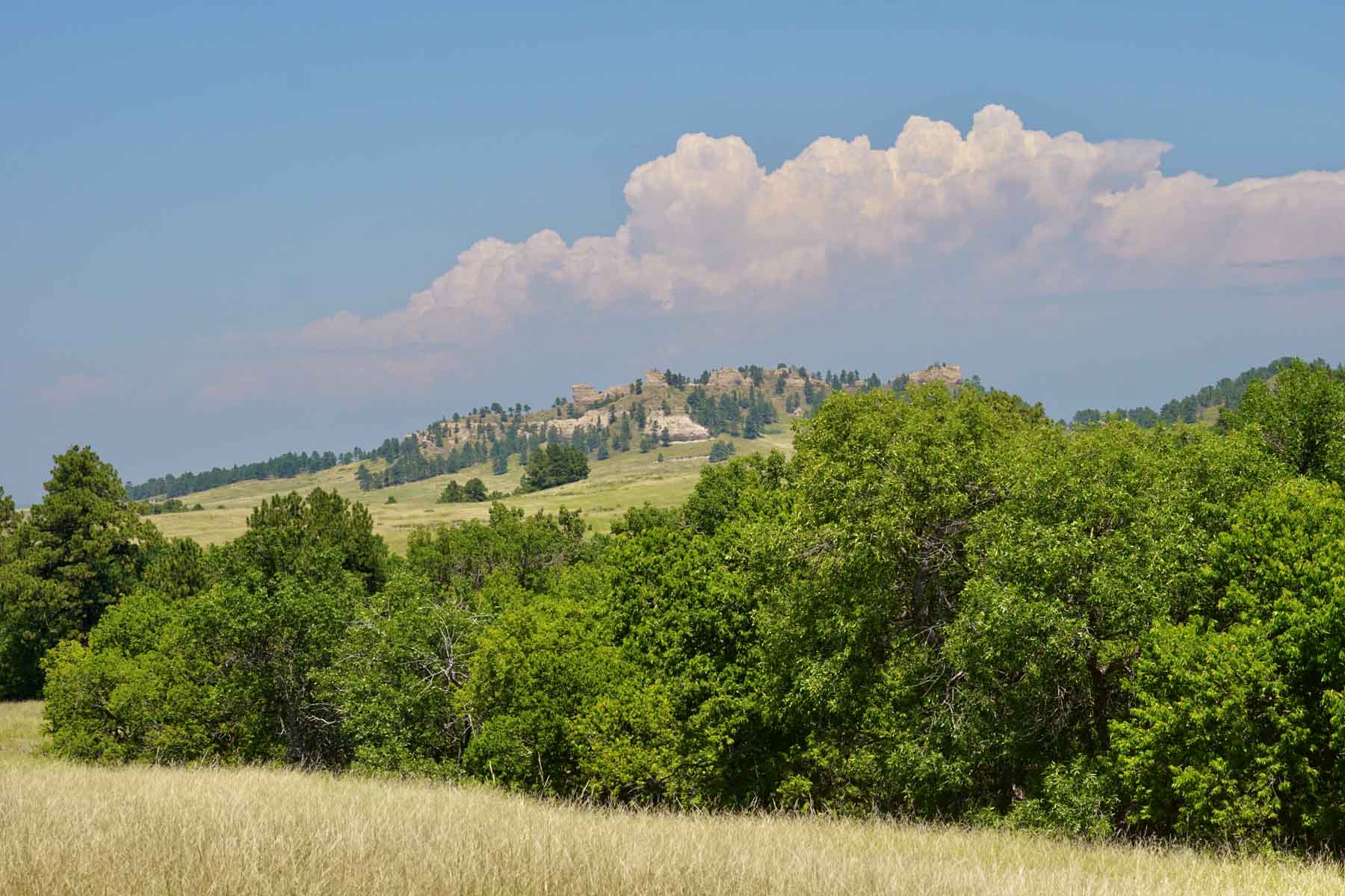 Bozle Creek Ranch property picture 33 of 87
