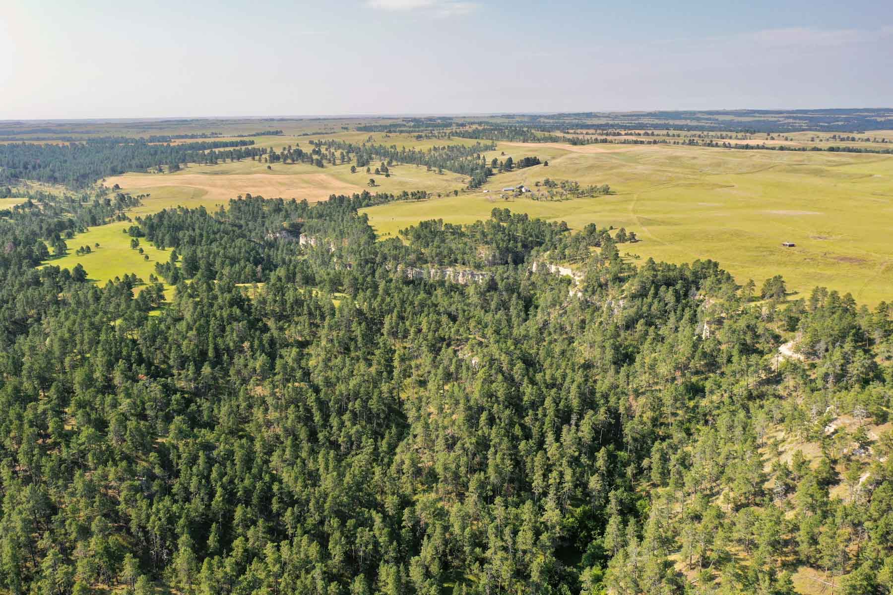 Bozle Creek Ranch property picture 78 of 87